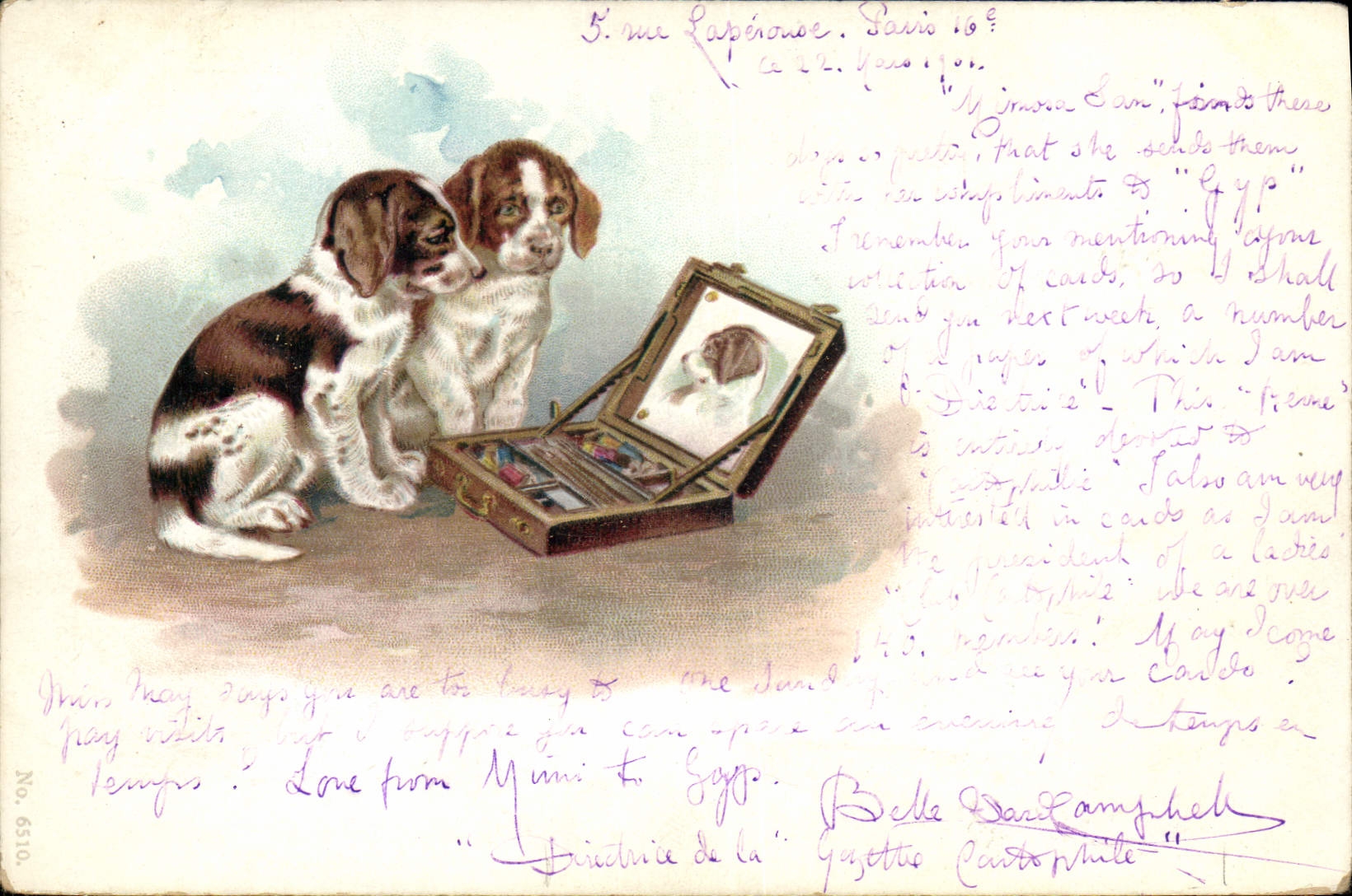 CPA Chien Chiens Chiot 
