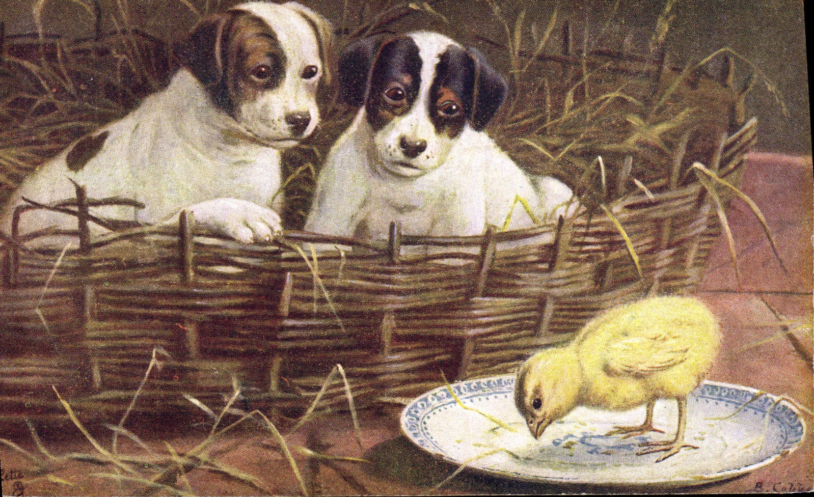 Vintage Postcard Dog Dogs Pup Chick