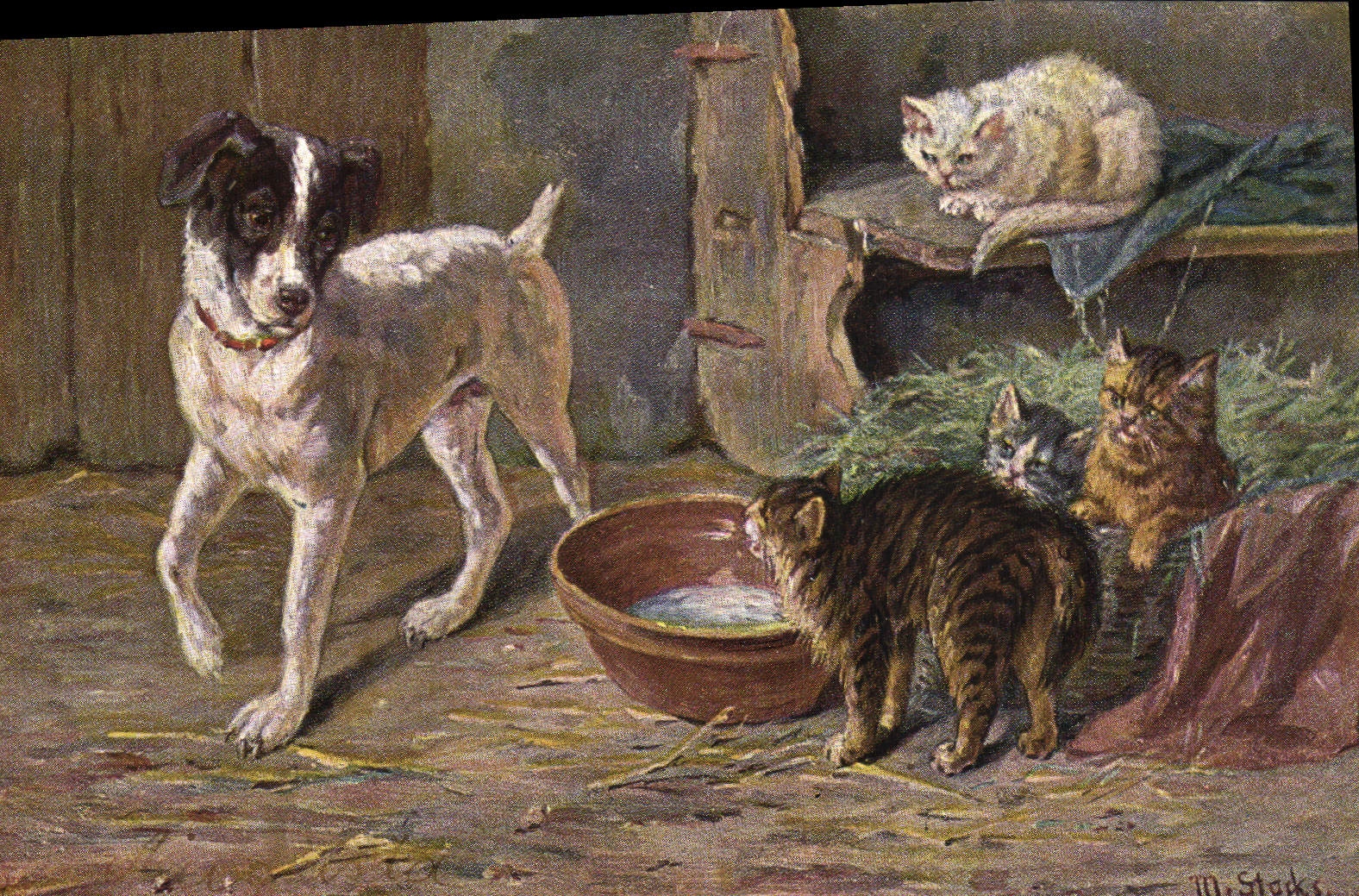 CPA Chien Chiens Chiot Chat Chats Chaton