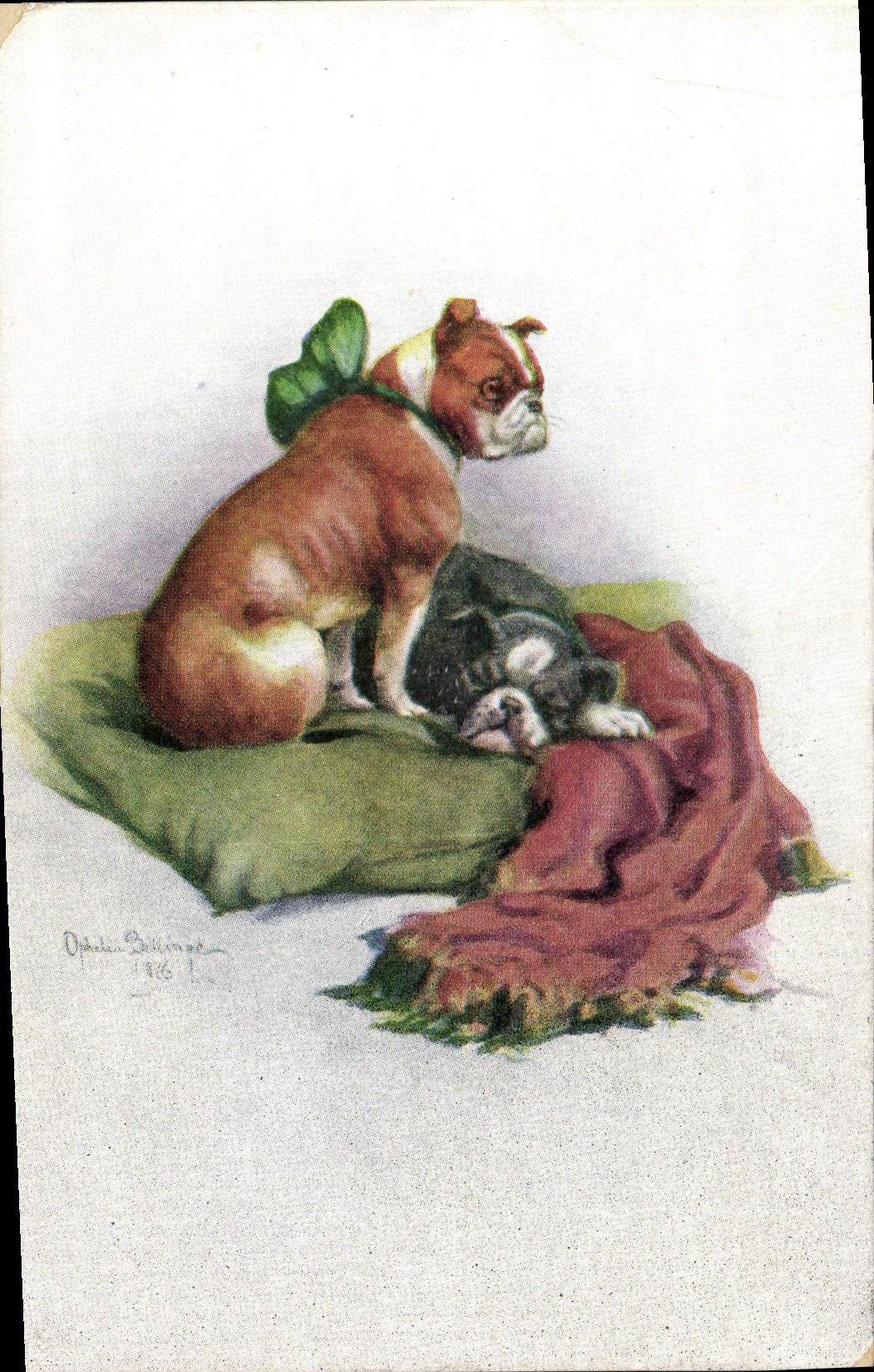 CPA Chien Chiens Chiot 