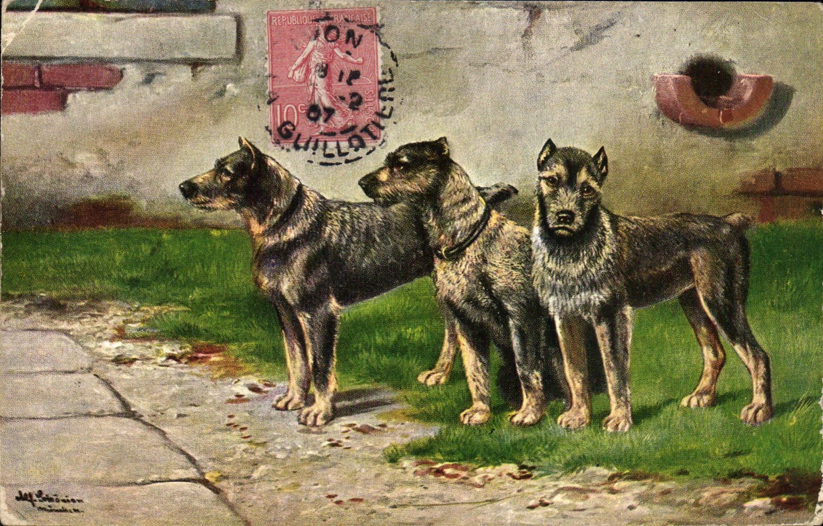 CPA Chien Chiens Chiot 
