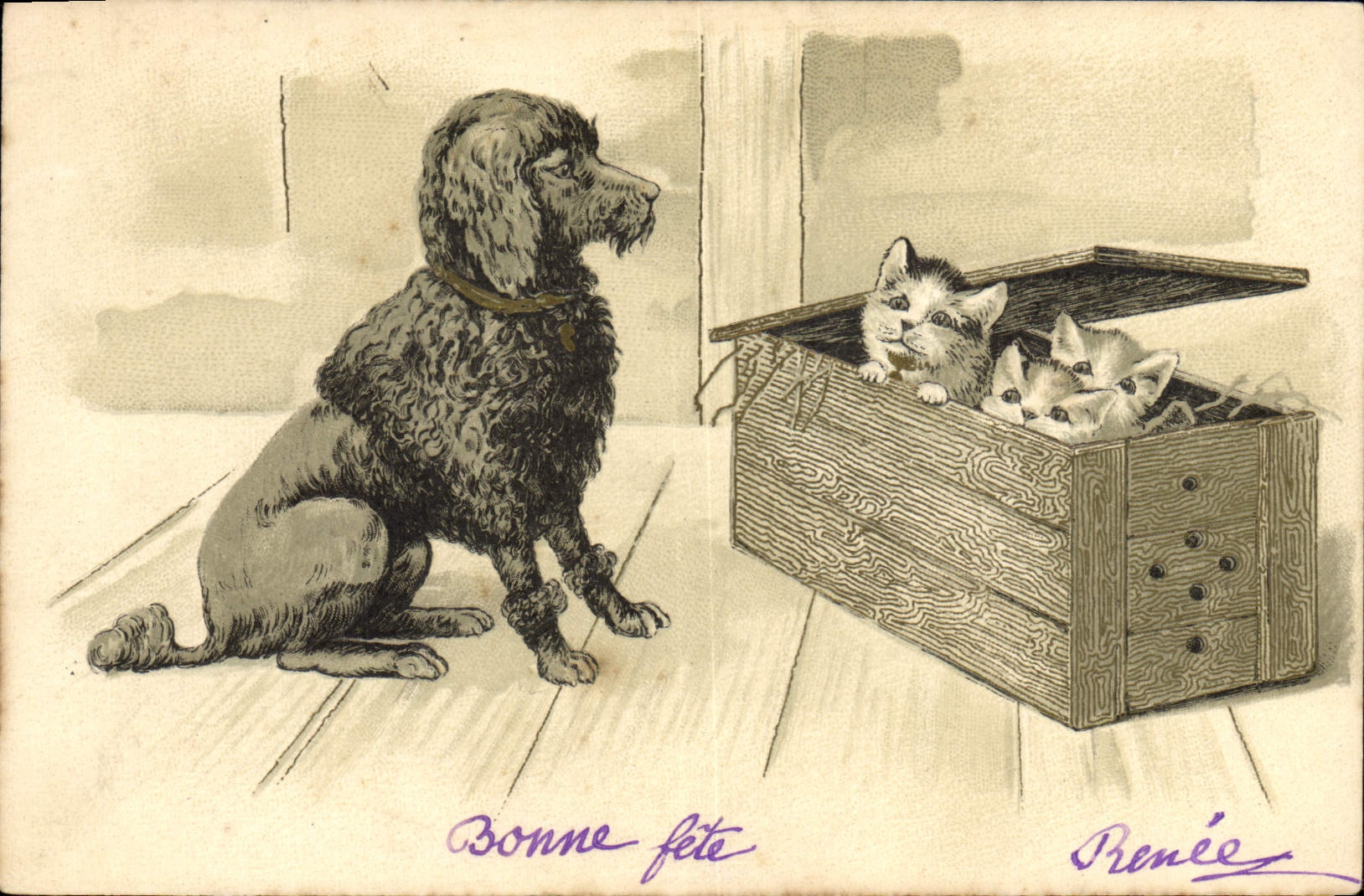 CPA Chien Chiens Chiot Chat chaton