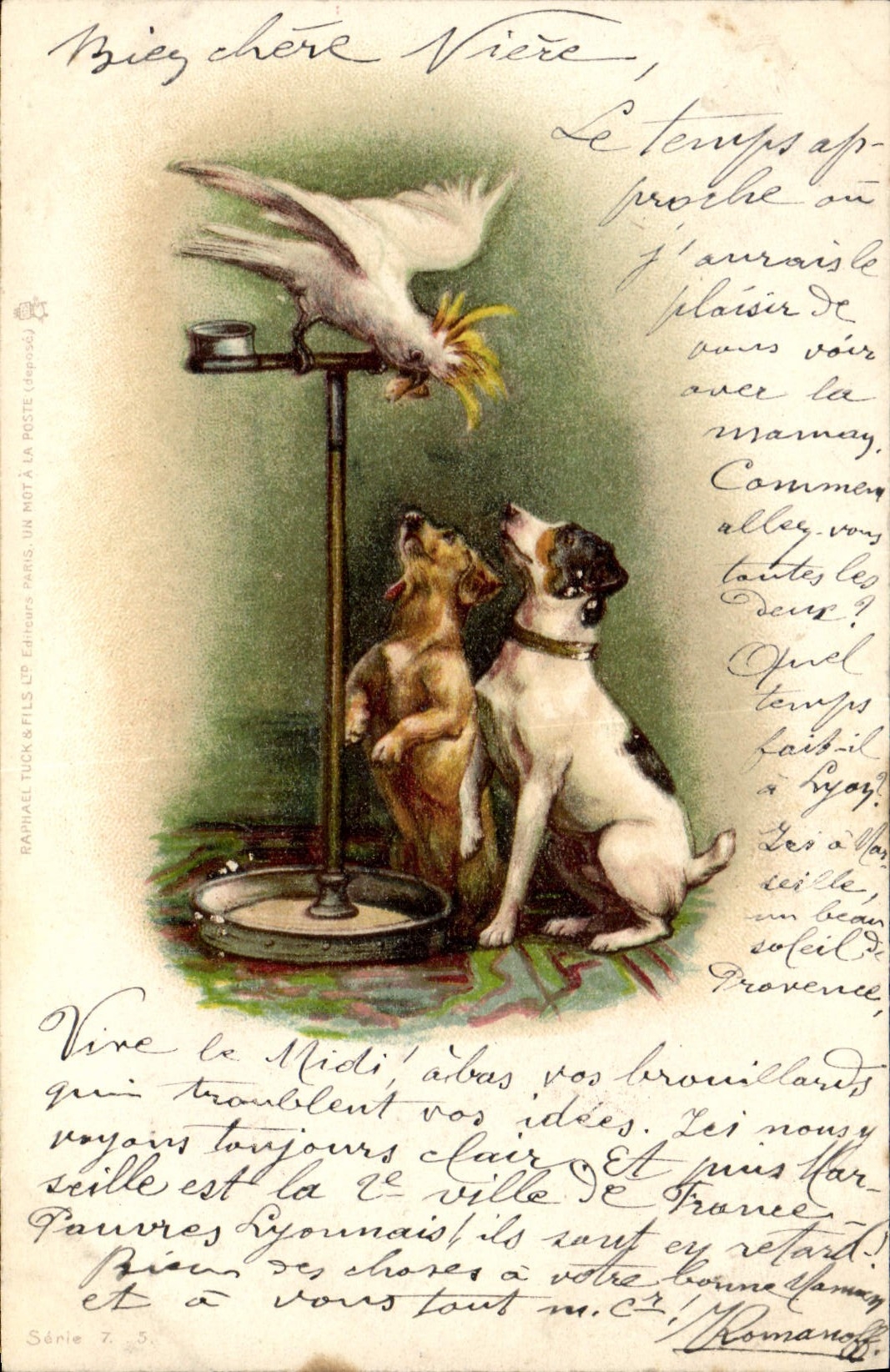Vintage Postcard Dog Dogs Pup Parrot