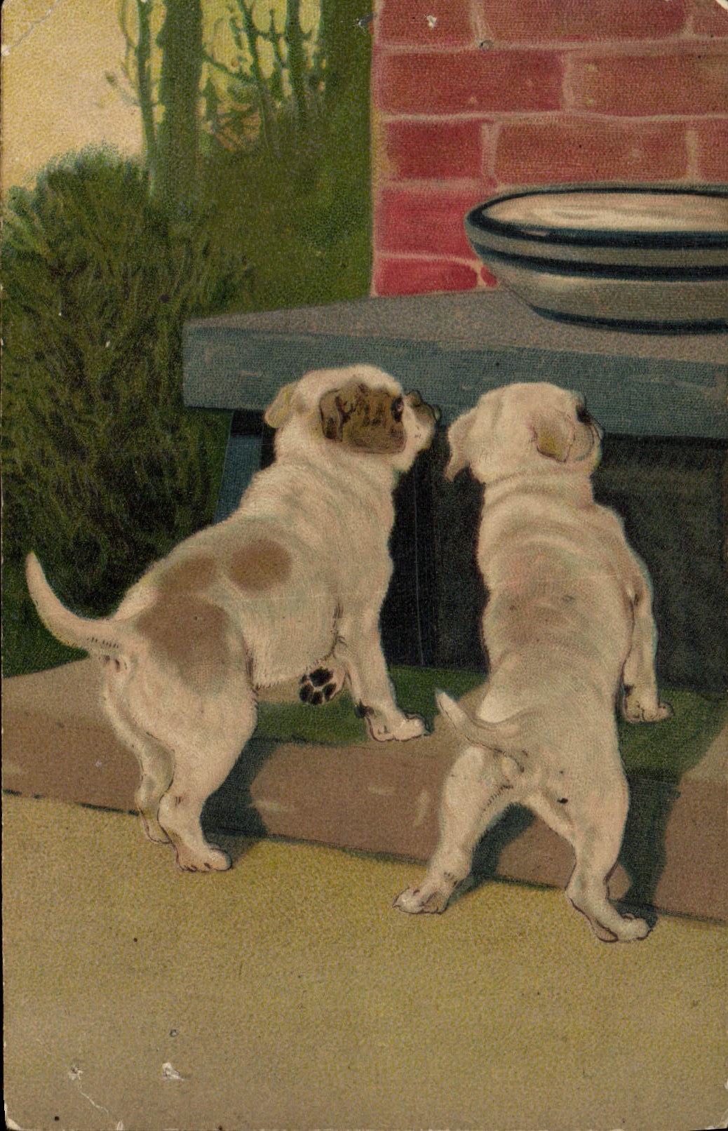 CPA Chien Chiens Chiot 