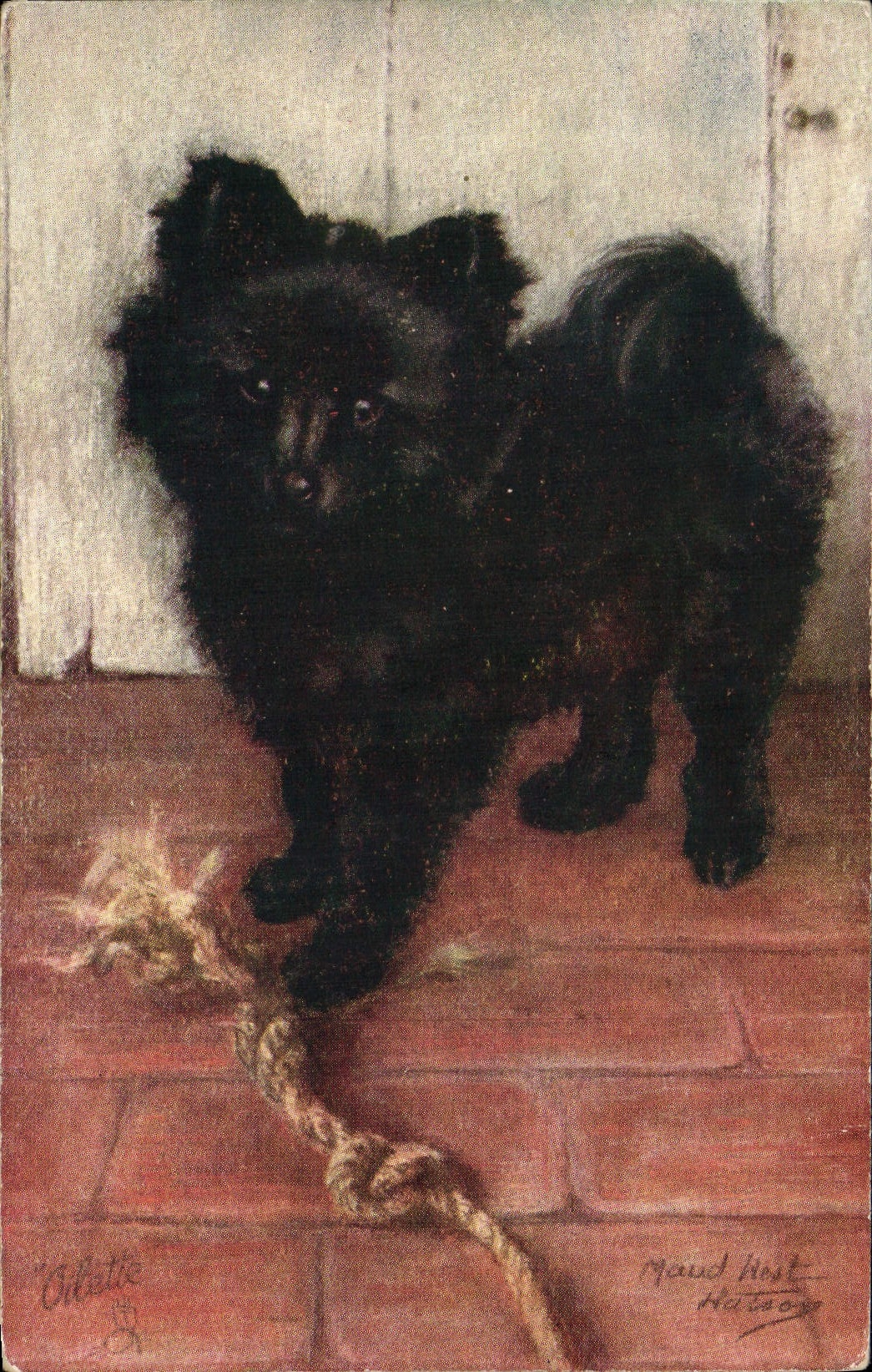 Vintage Postcard Dog Dogs Pup Pomeranian Puppy