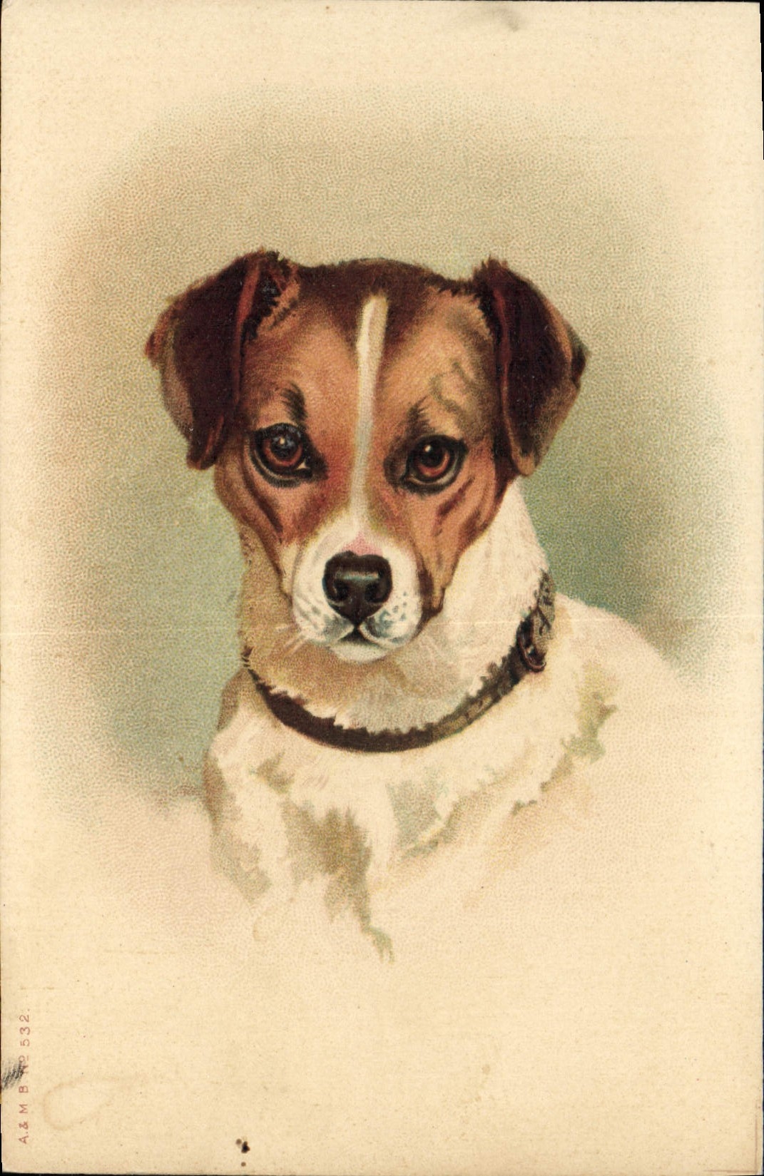 CPA Chien Chiens Chiot 