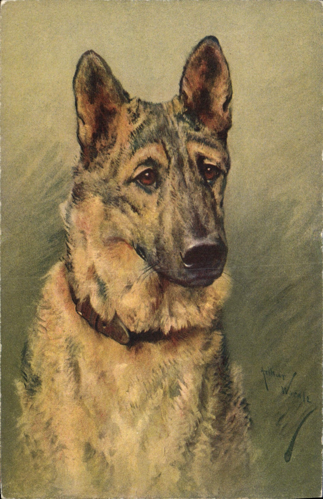 CPA Chien Chiens Chiot 