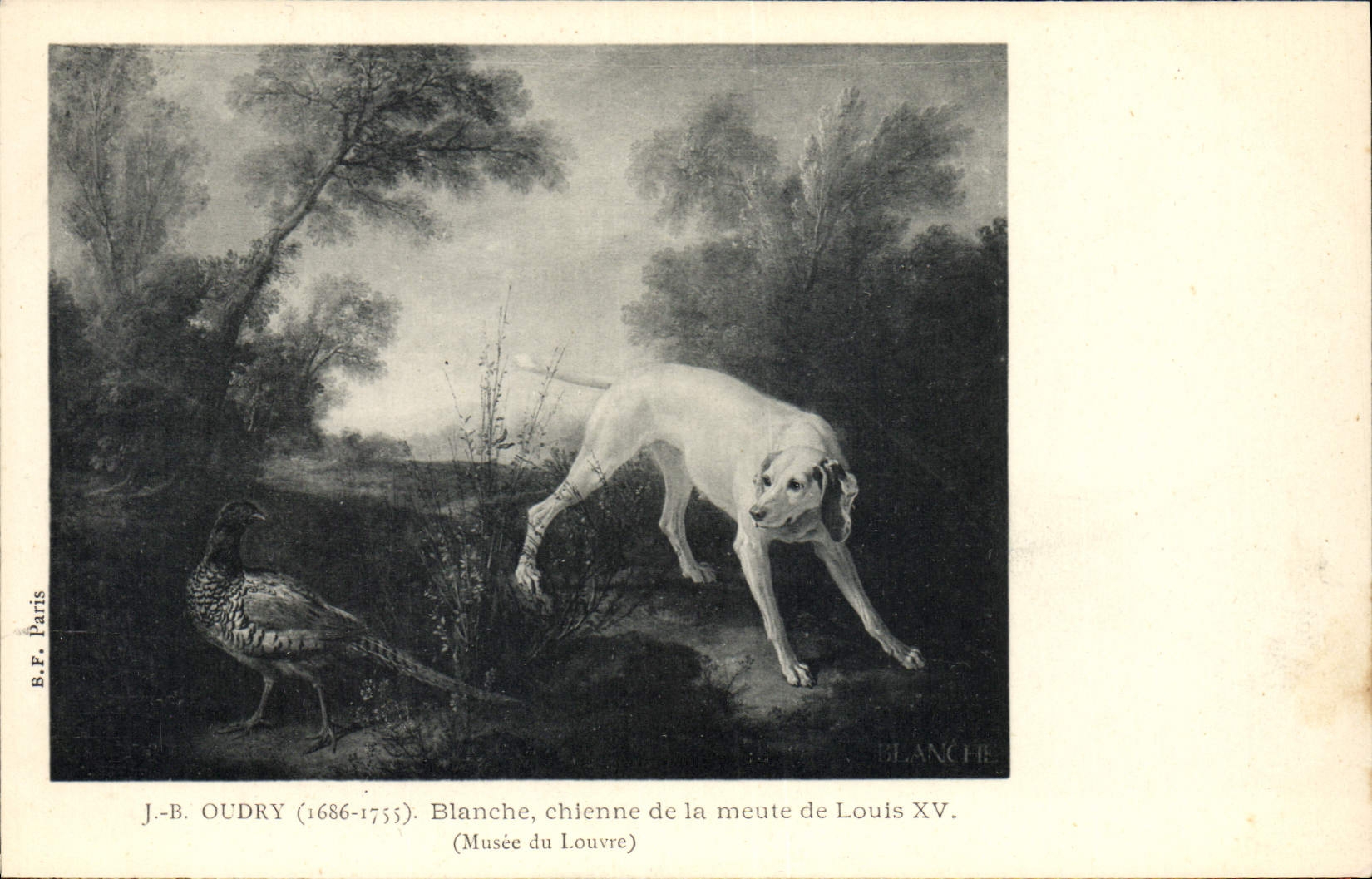 Vintage Postcard Dog Dogs Oudry Pup White Bitch of the pack of Louis XV Museum of Louvre Paris
