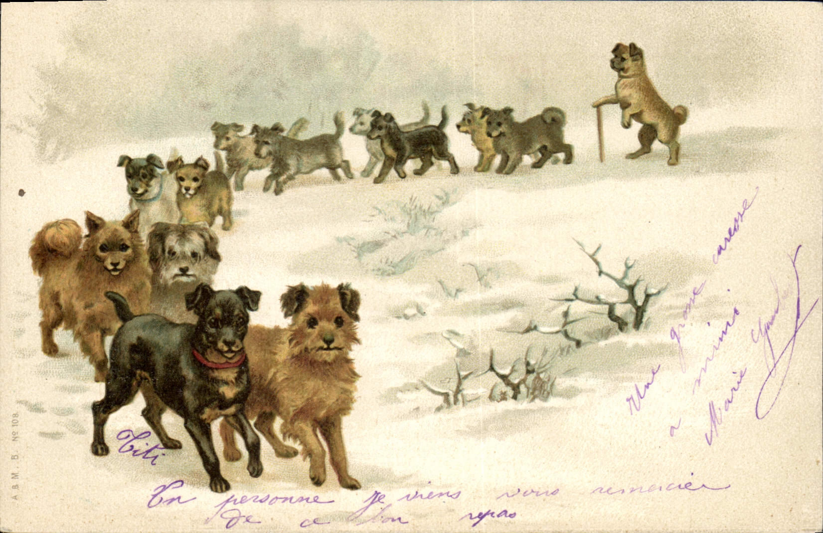 CPA Chien Chiens Chiot 