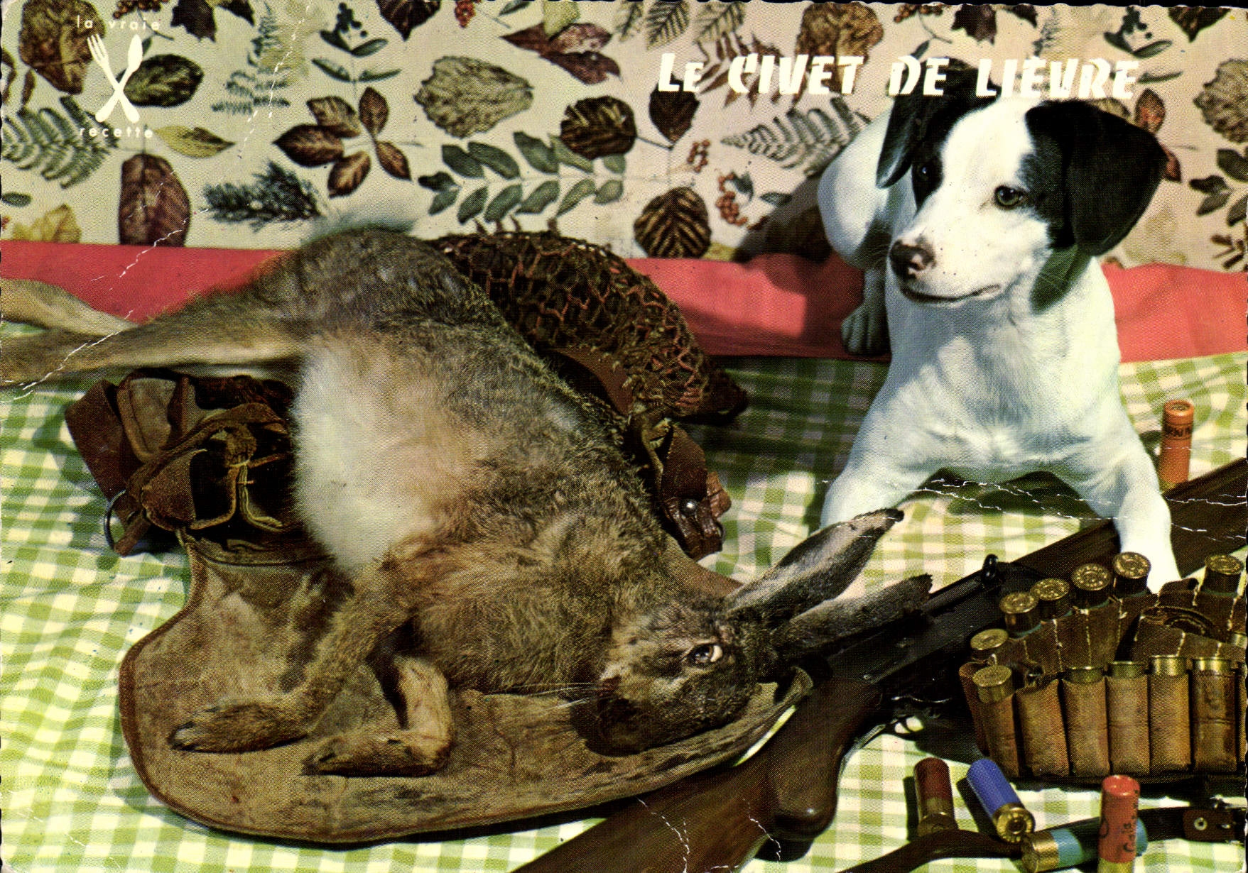 Modern Postcard the jugged hare Drives out