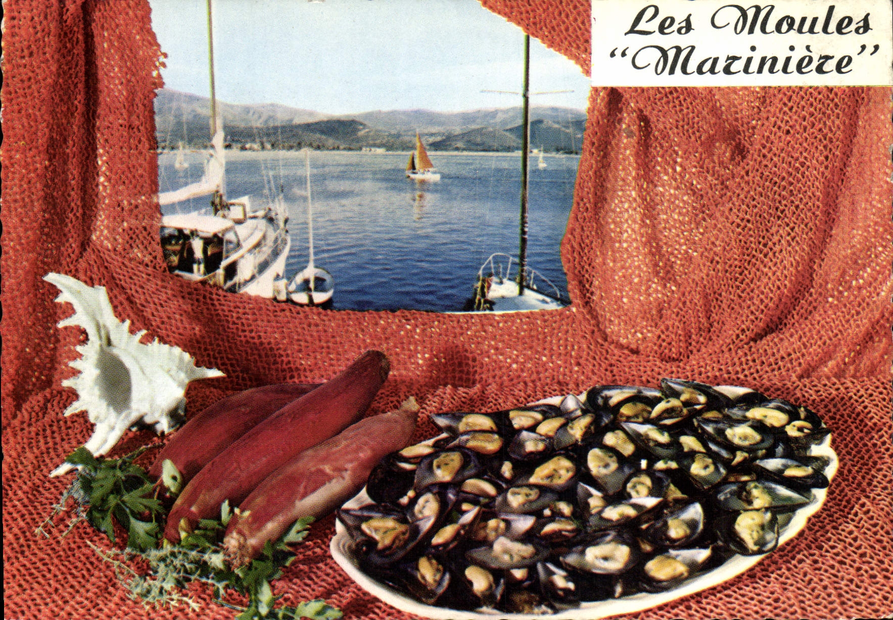 Modern Postcard Mussels marine