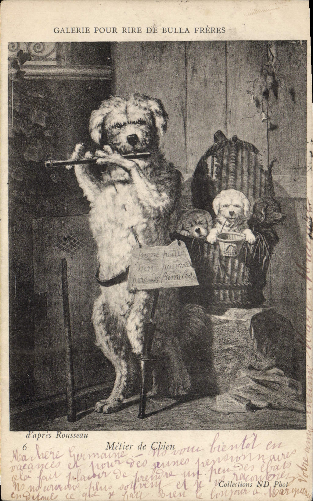 Vintage Postcard Dog Dogs Pup Trade of dog Gallery to laugh at Bulla Brothers