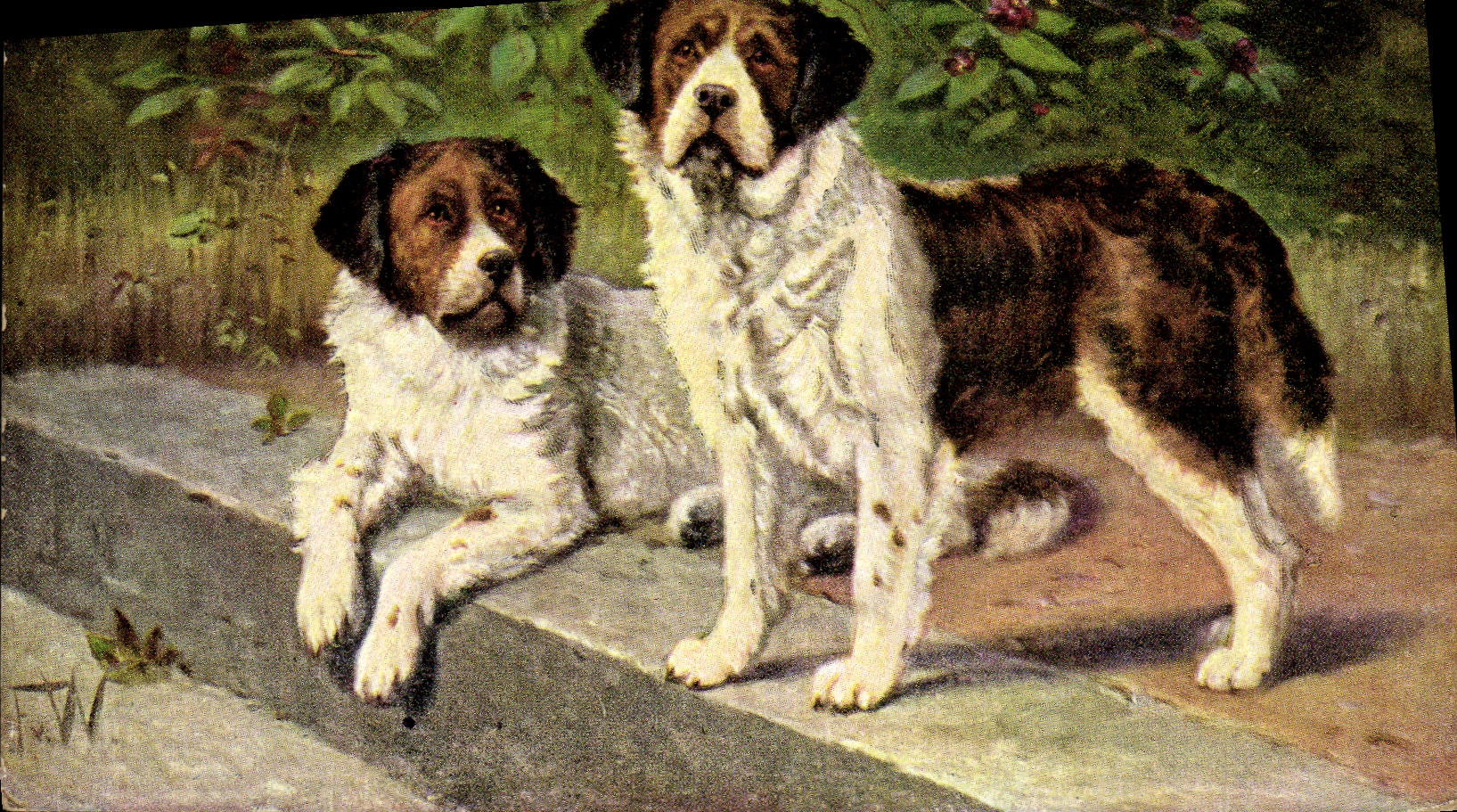 CPA Chien Chiens Chiot 