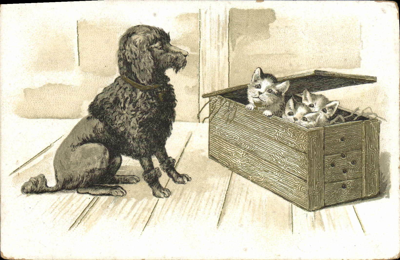 Vintage Postcard Dog Dogs Pup Cats Cat