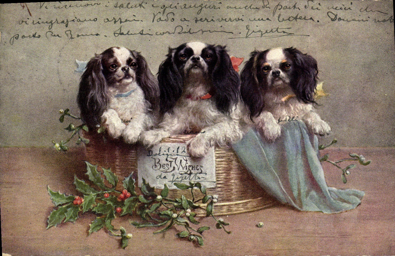 CPA Chien Chiens Chiot 