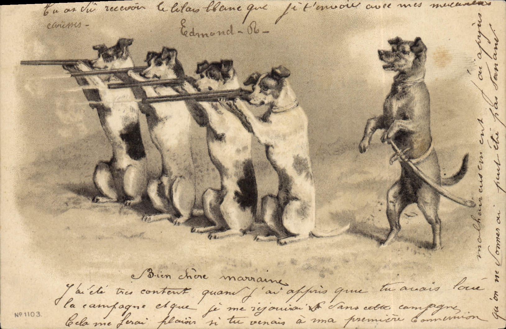 Vintage Postcard Chien Dogs Pup Rifle Drives out