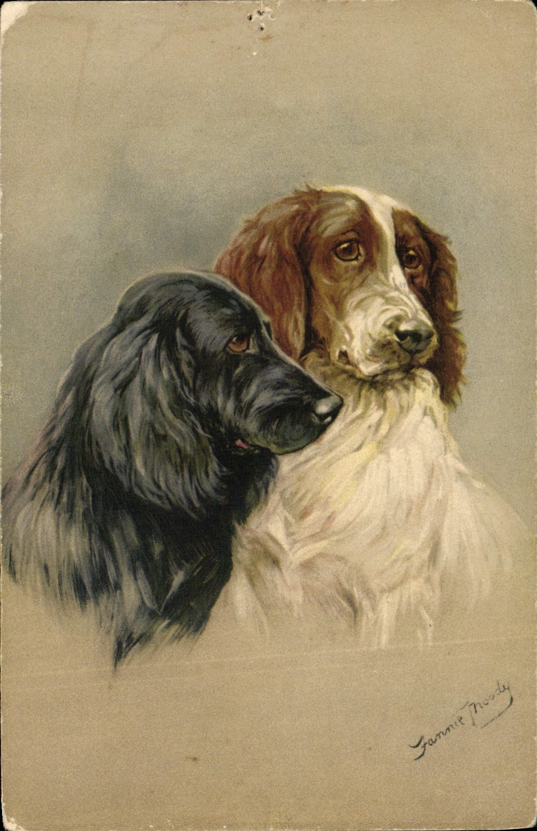 CPA Chien Chiens Chiot 