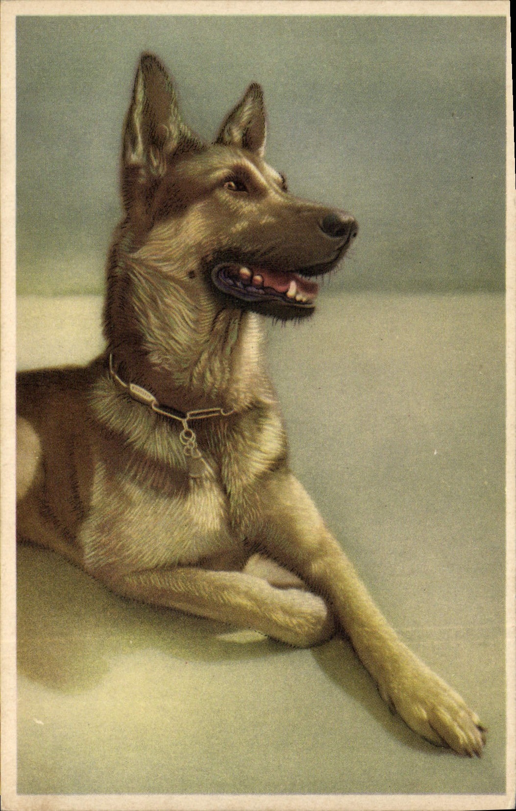 CPA Chien Chiens Chiot 