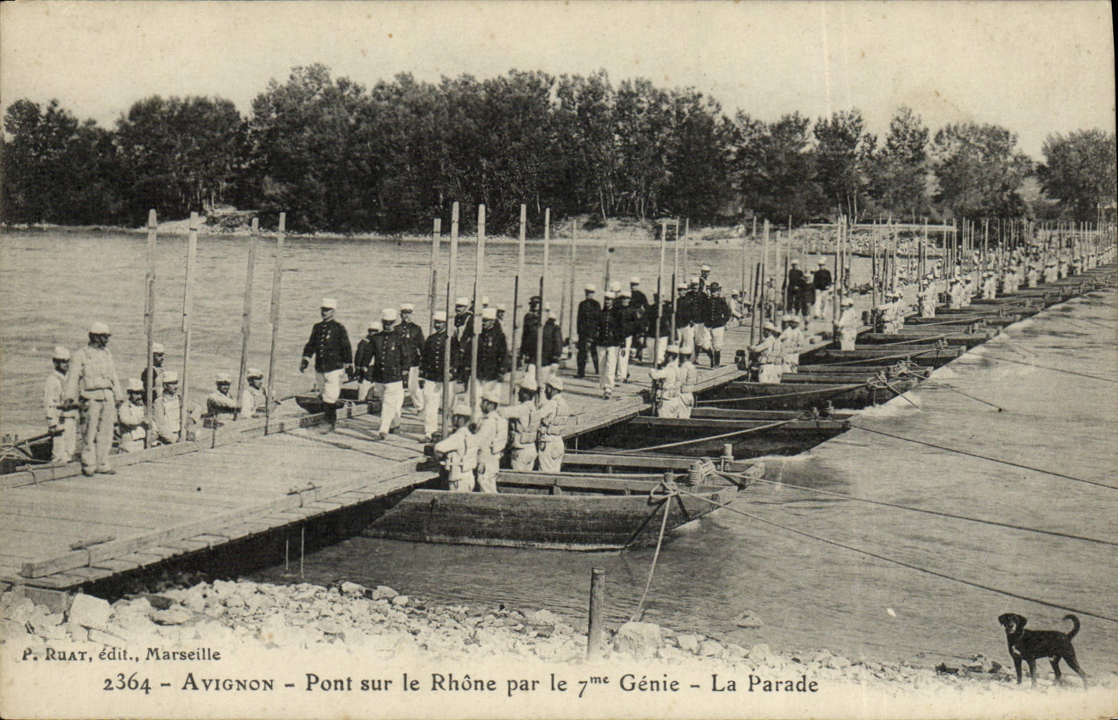 CPA Militaria Avignon Pont sur le Rhone par le 7eme Genie La parade