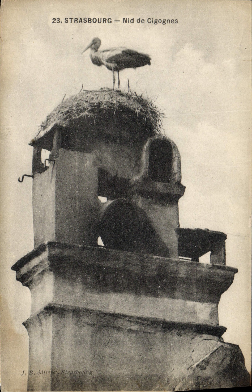 Postal Folclore Alsacia Estrasburgo Nido de cigüeñas