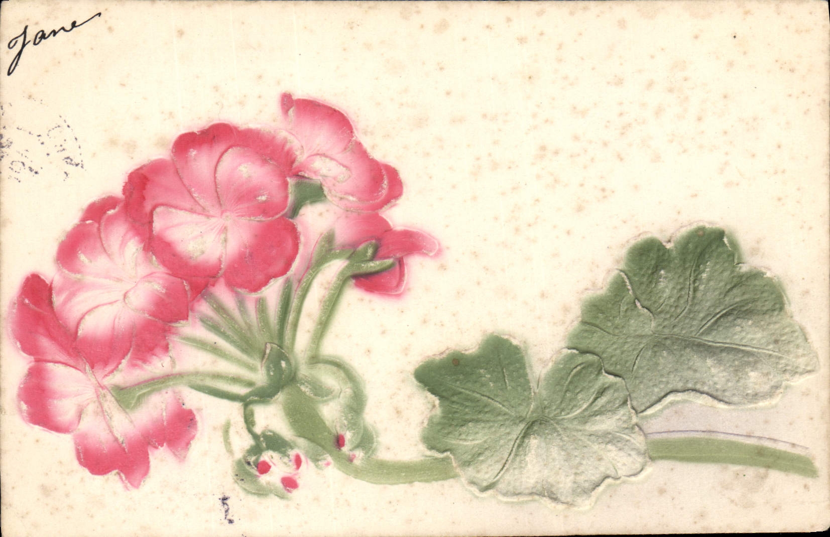 CPA Fantaisie Fleurs 