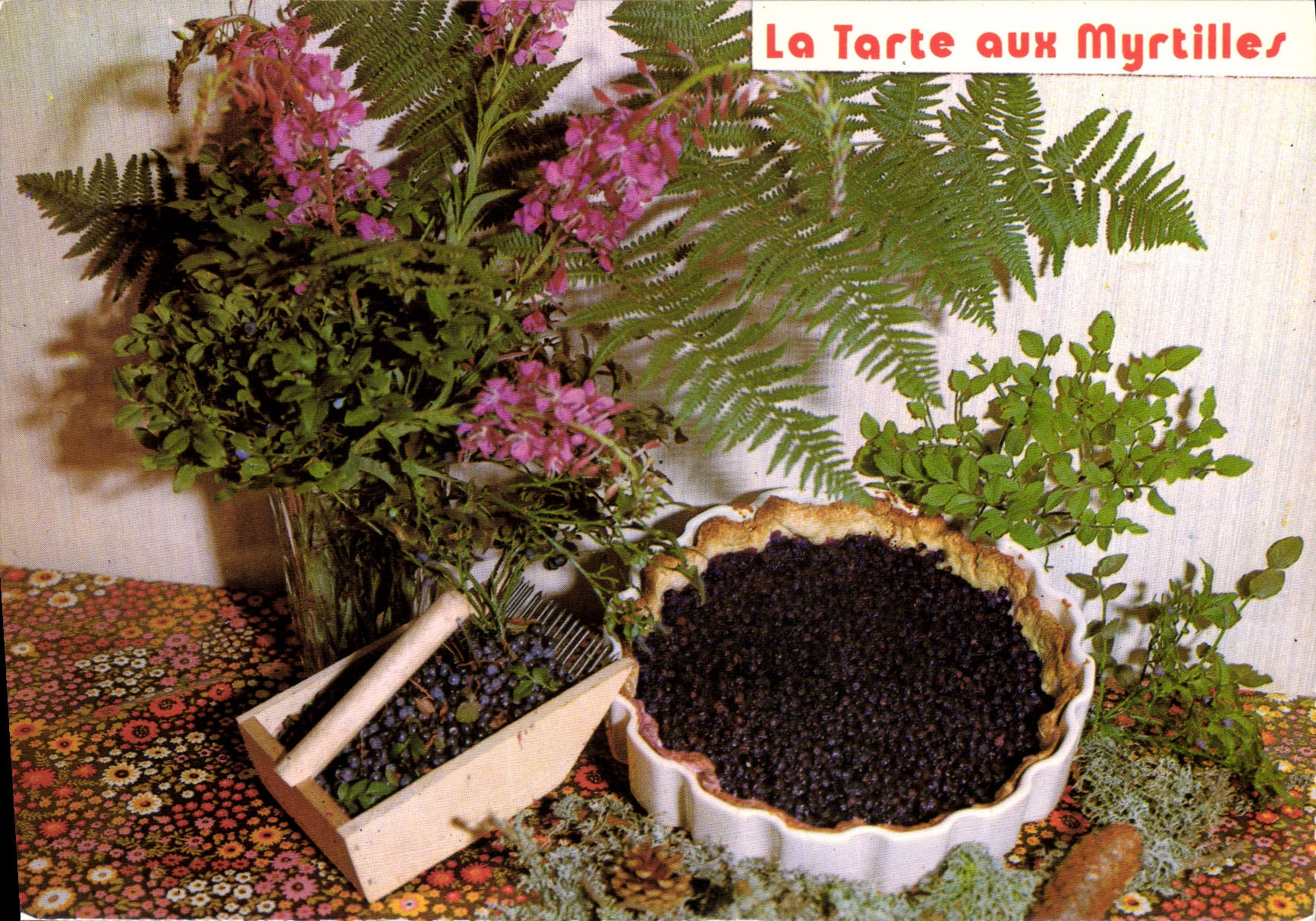 Modern Postcard the tart with bilberries