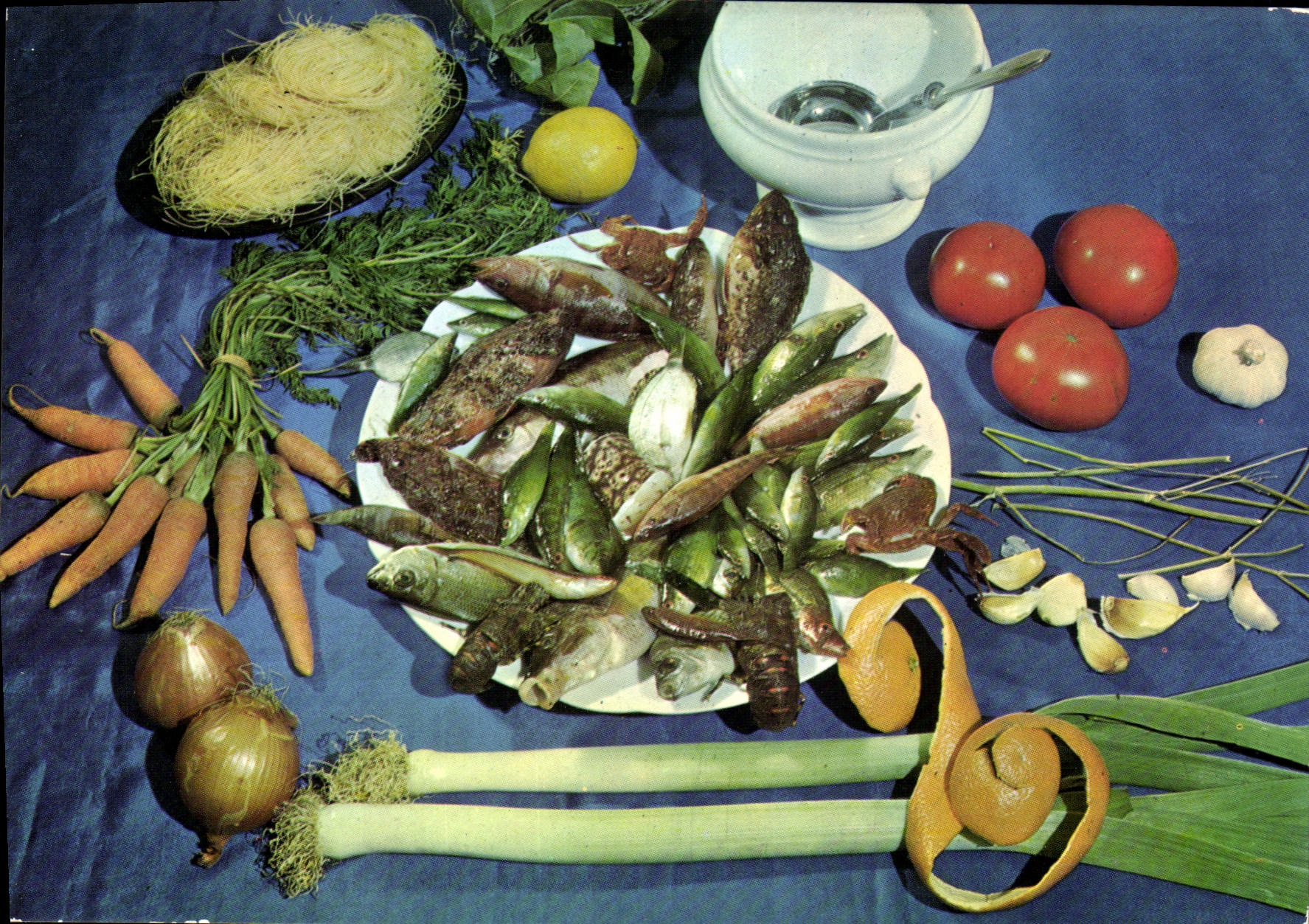 Modern Postcard Fish soup