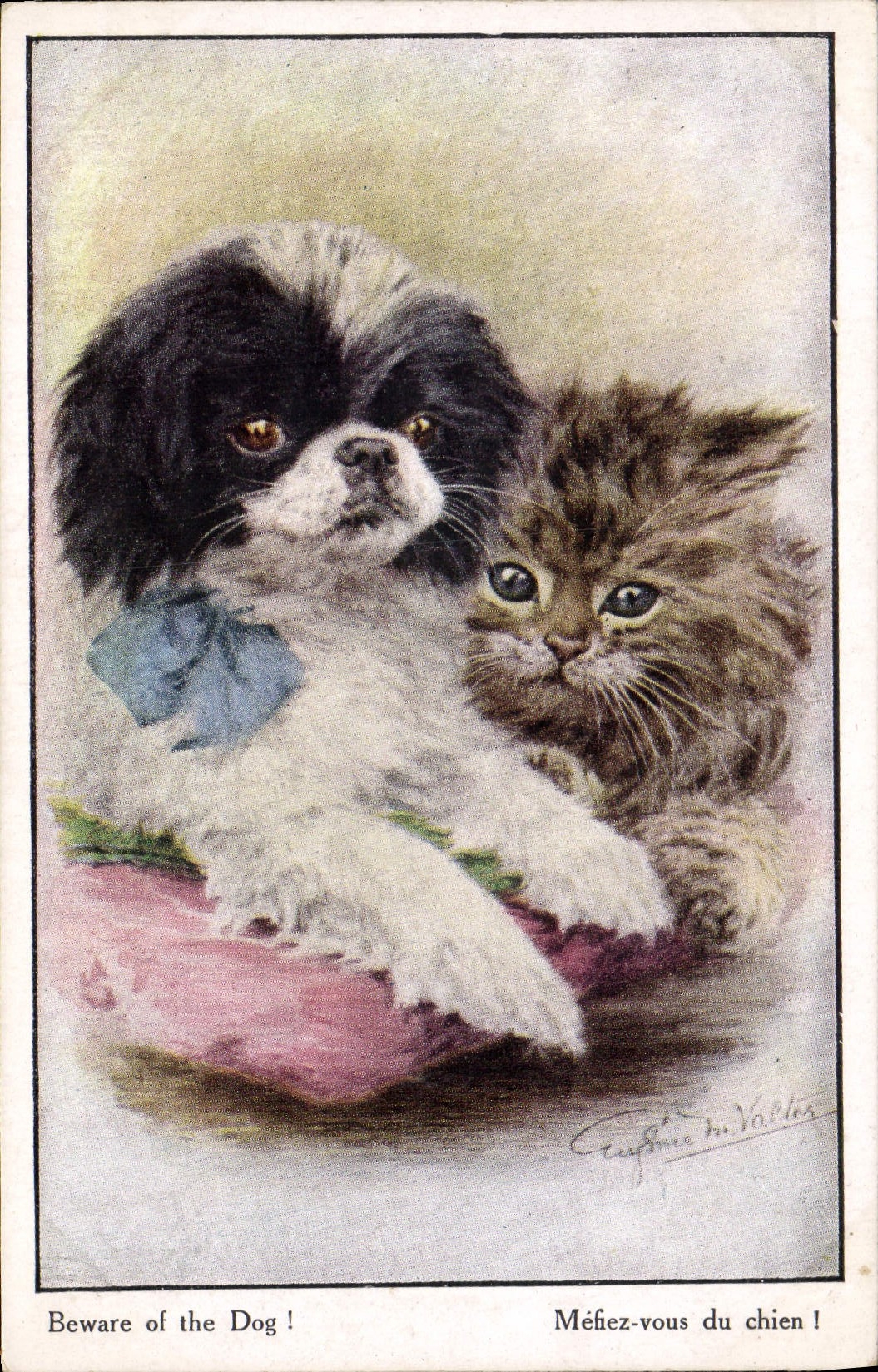CPA Chien Chiens Chiot Chat Chaton Mefiez vous du chien !