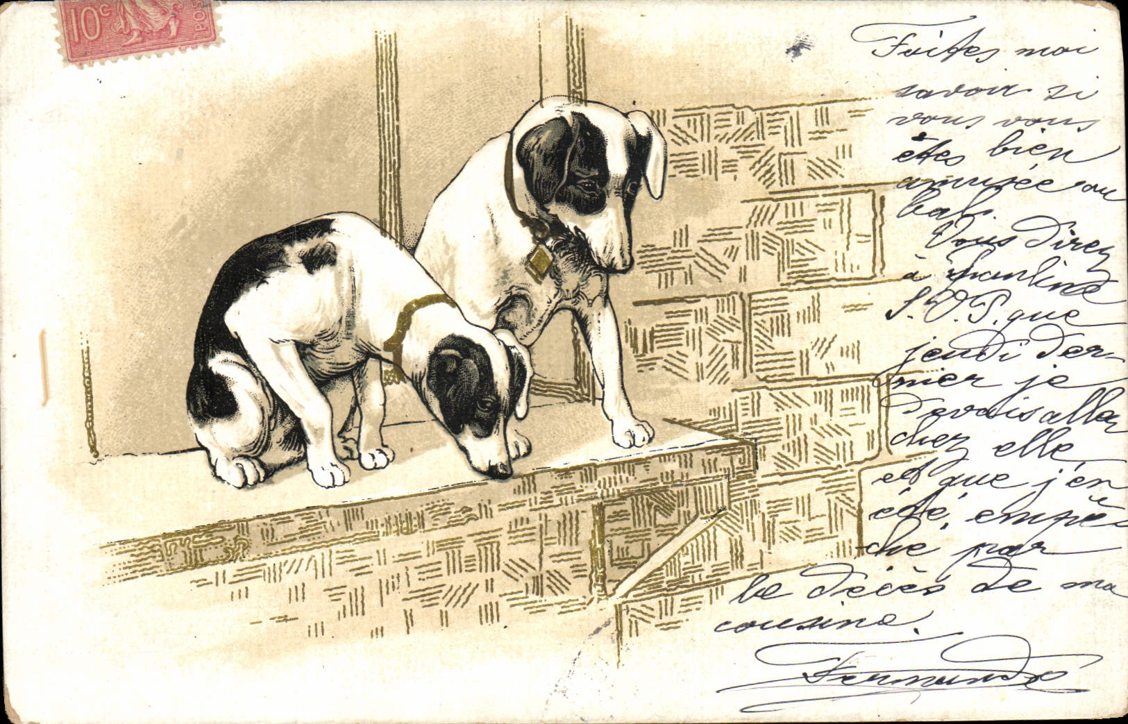 CPA Chien Chiens Chiot 