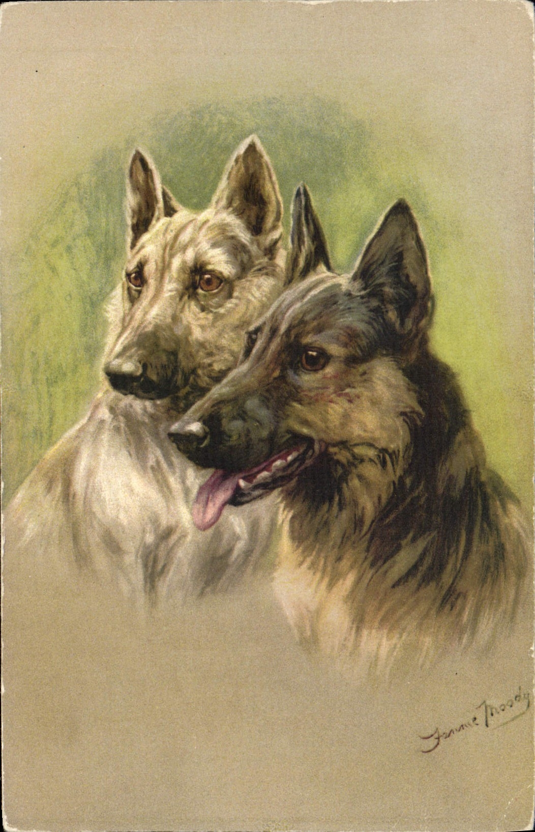 CPA Chien Chiens Chiot 