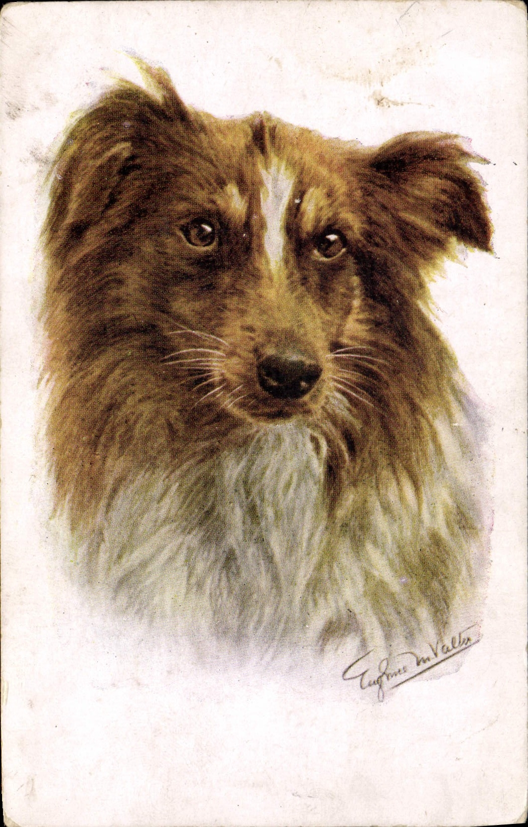 CPA Chien Chiens Chiot 