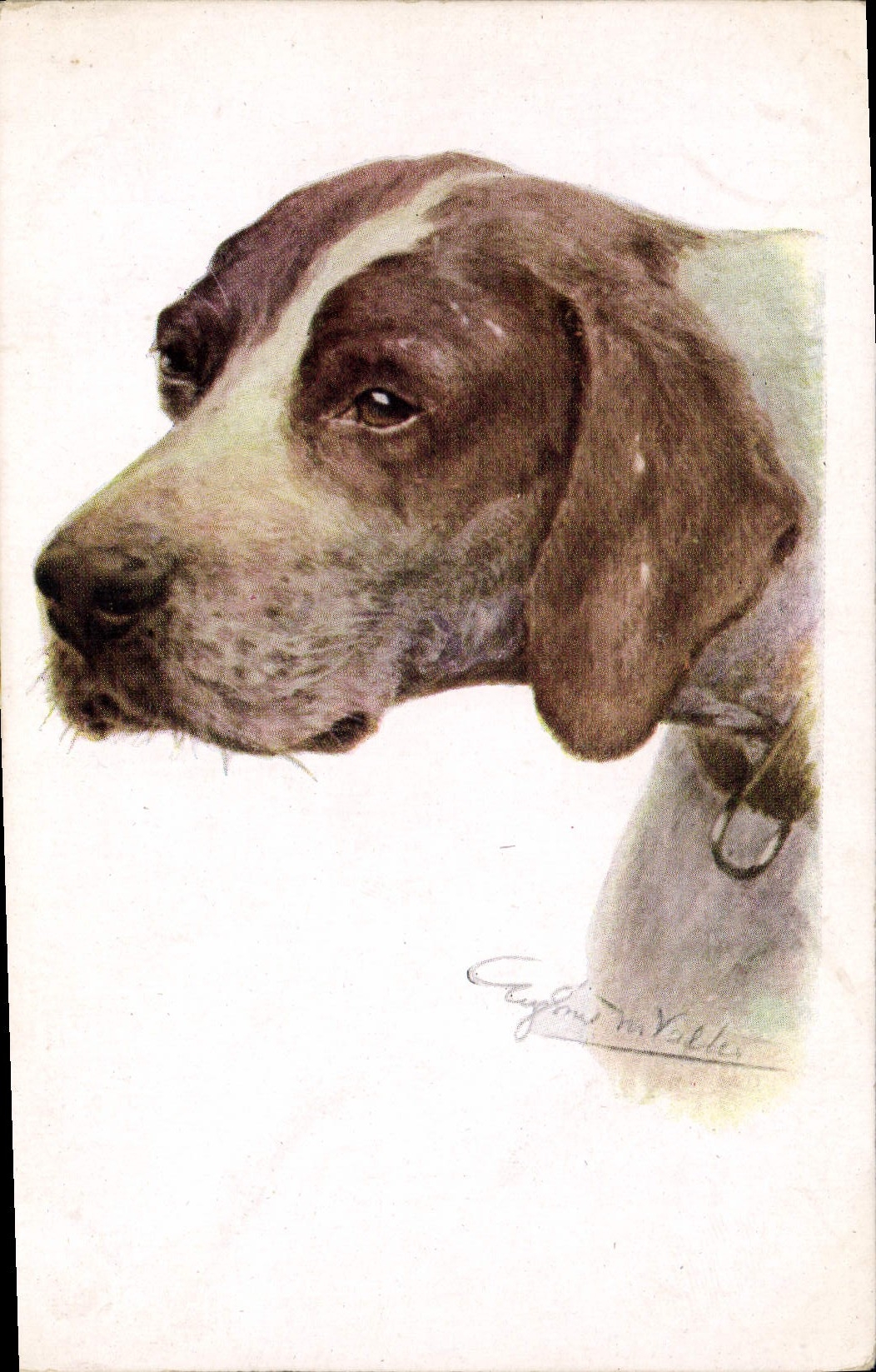 CPA Chien Chiens Chiot 