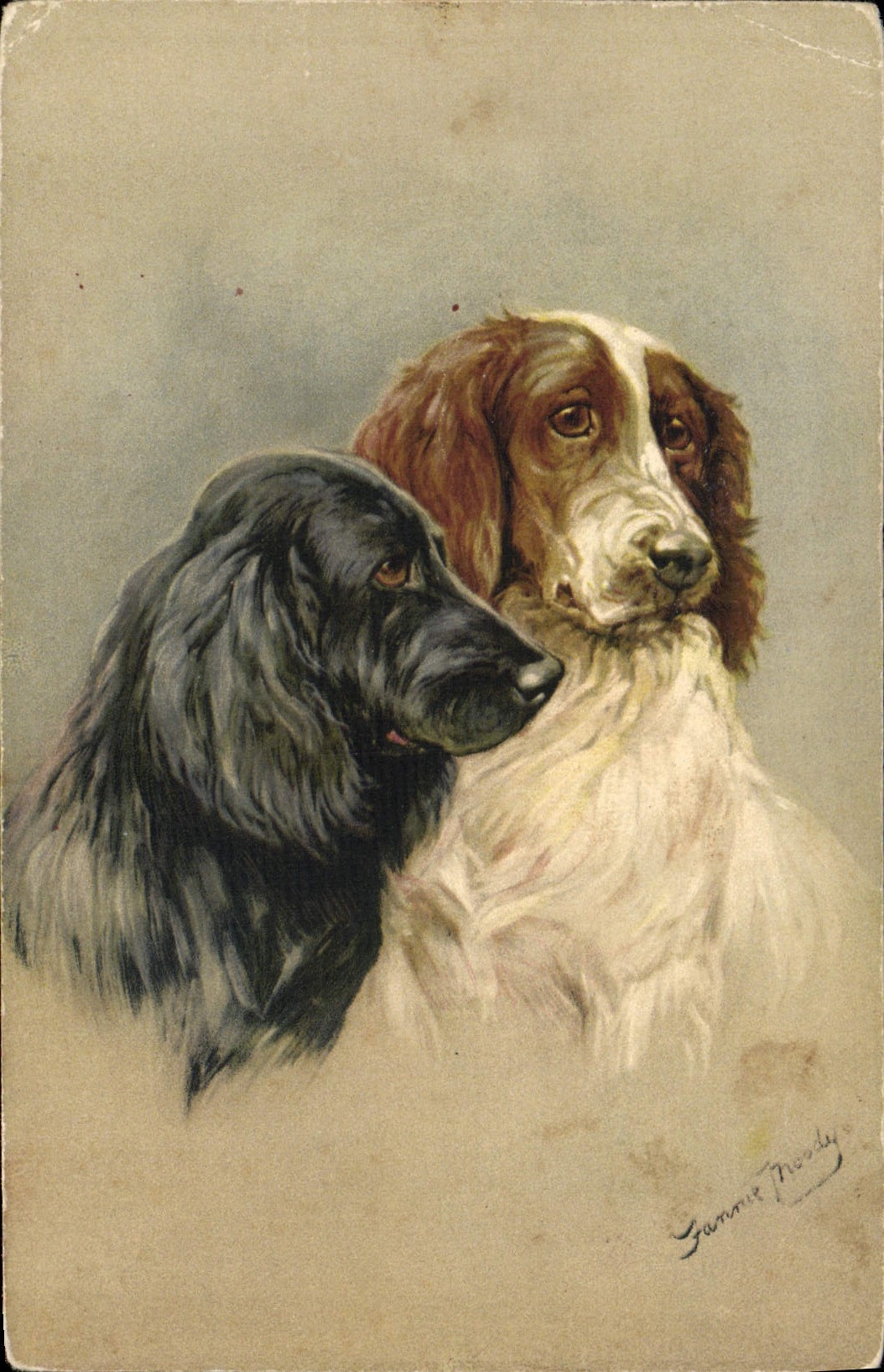 CPA Chien Chiens Chiot 