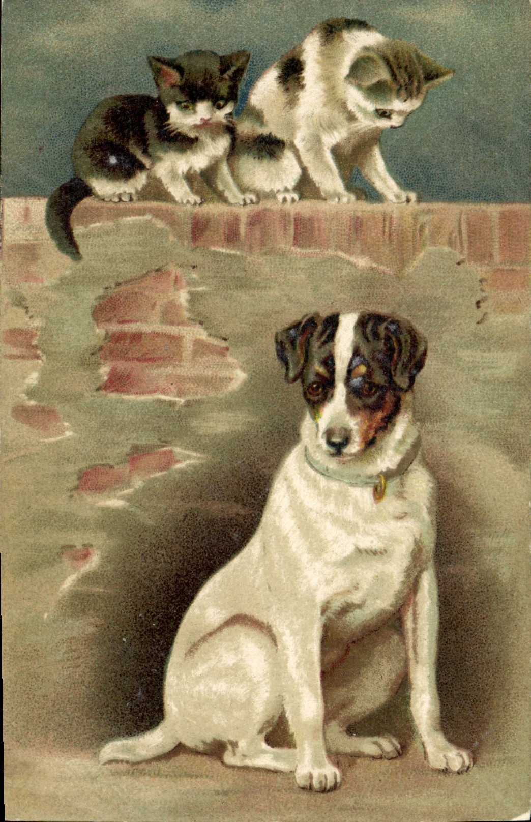 CPA Chien Chiens Chiot Chat Chats Chaton