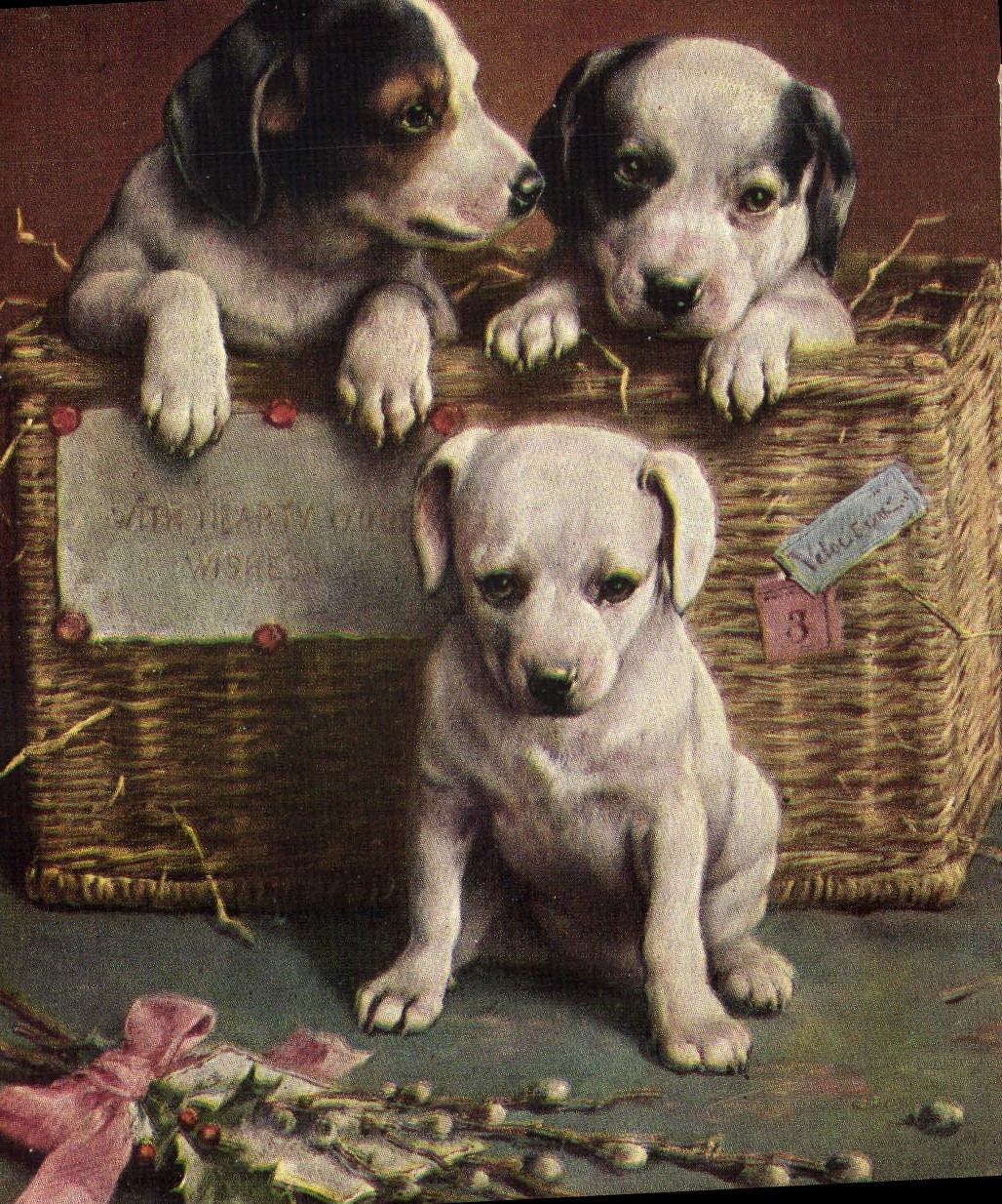 CPA Chien Chiens Chiot 