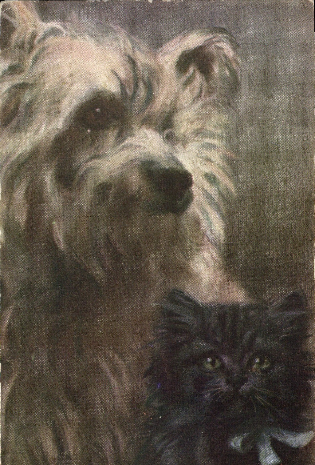 CPA Chien Chiens Chiot Chat Chaton