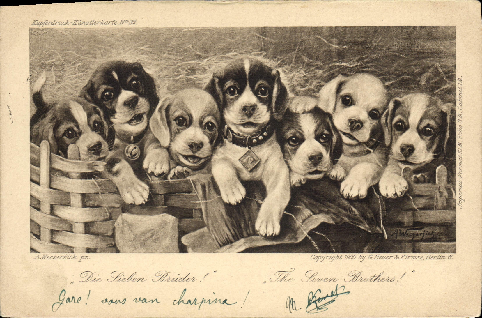 Vintage Postcard Dog Dogs Pup The seven brothers
