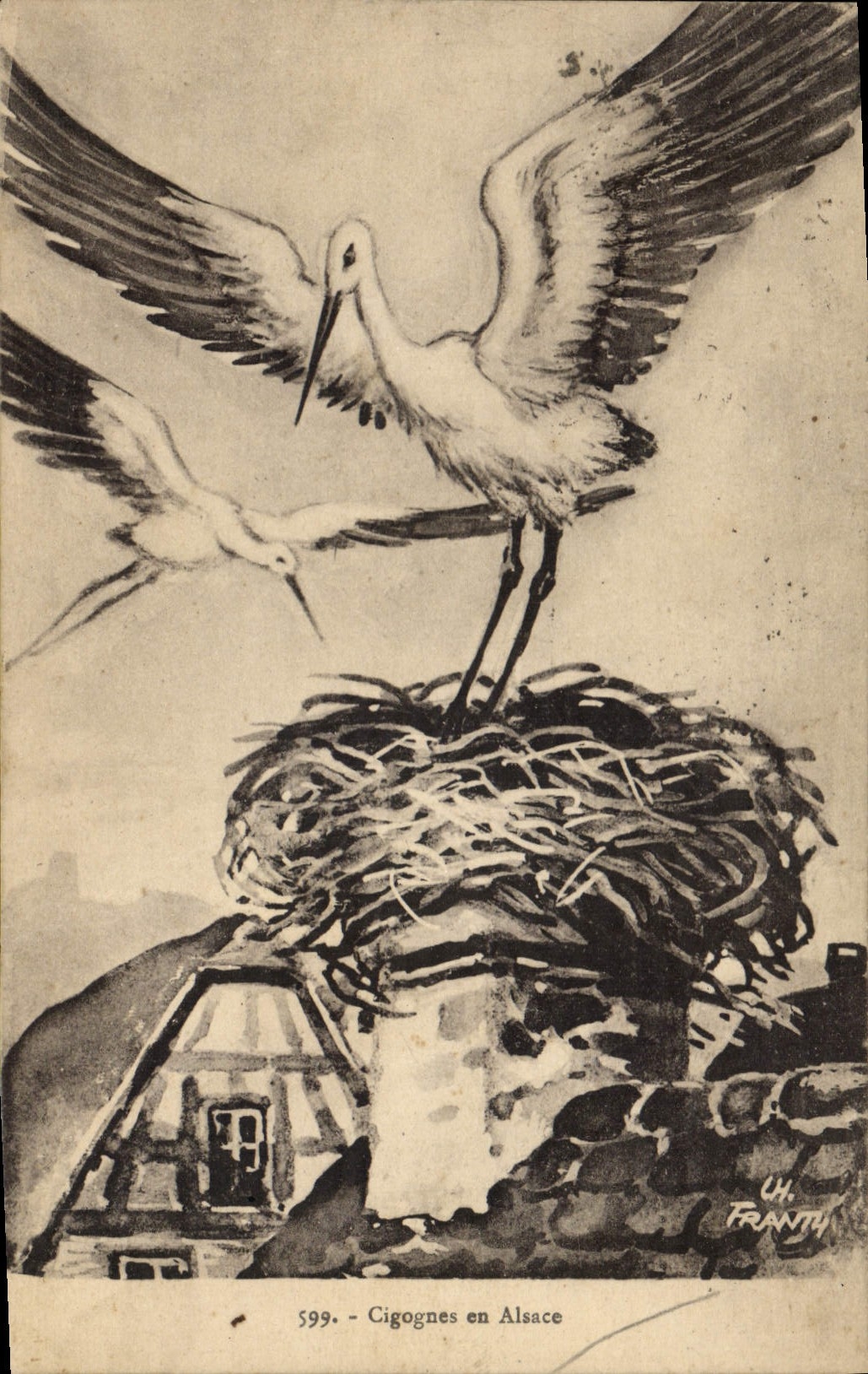 Postal Folclore Alsacia Cigüeñas en Alsacia