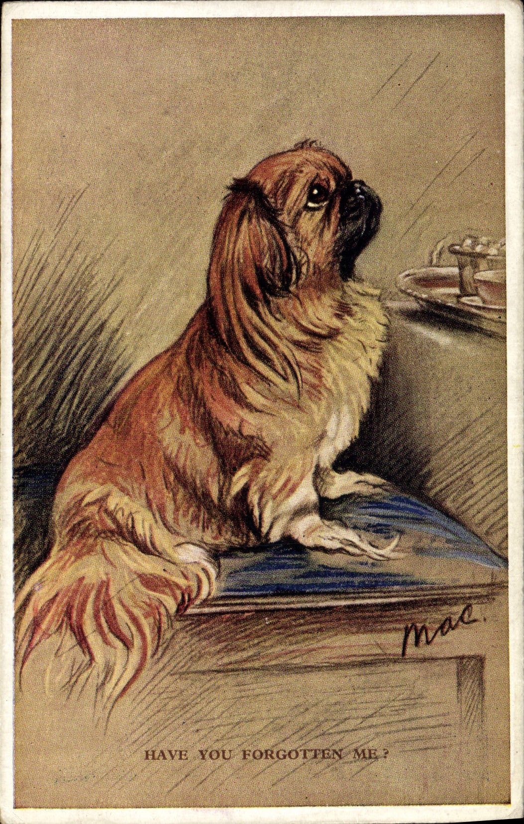 Postal Perro Cachorro Perros corta you forgotten me?