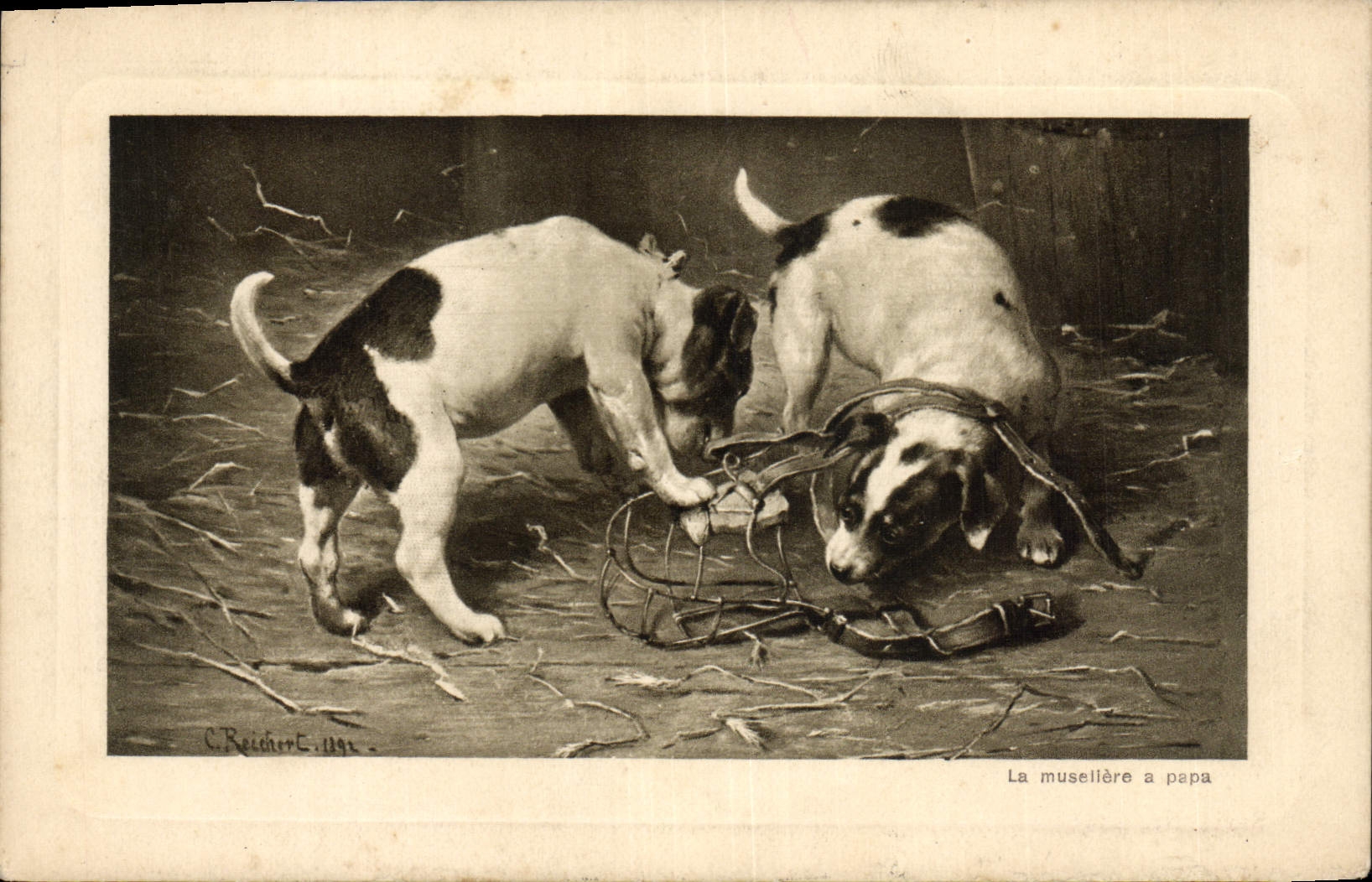Vintage Postcard Chien Pup Dogs the muzzle has Papa