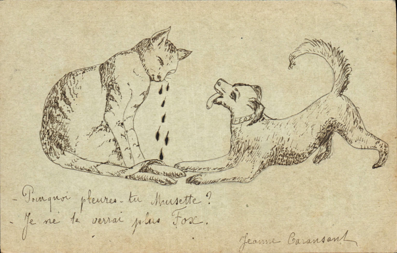 CPA Chien Chiot Chiens Chat 