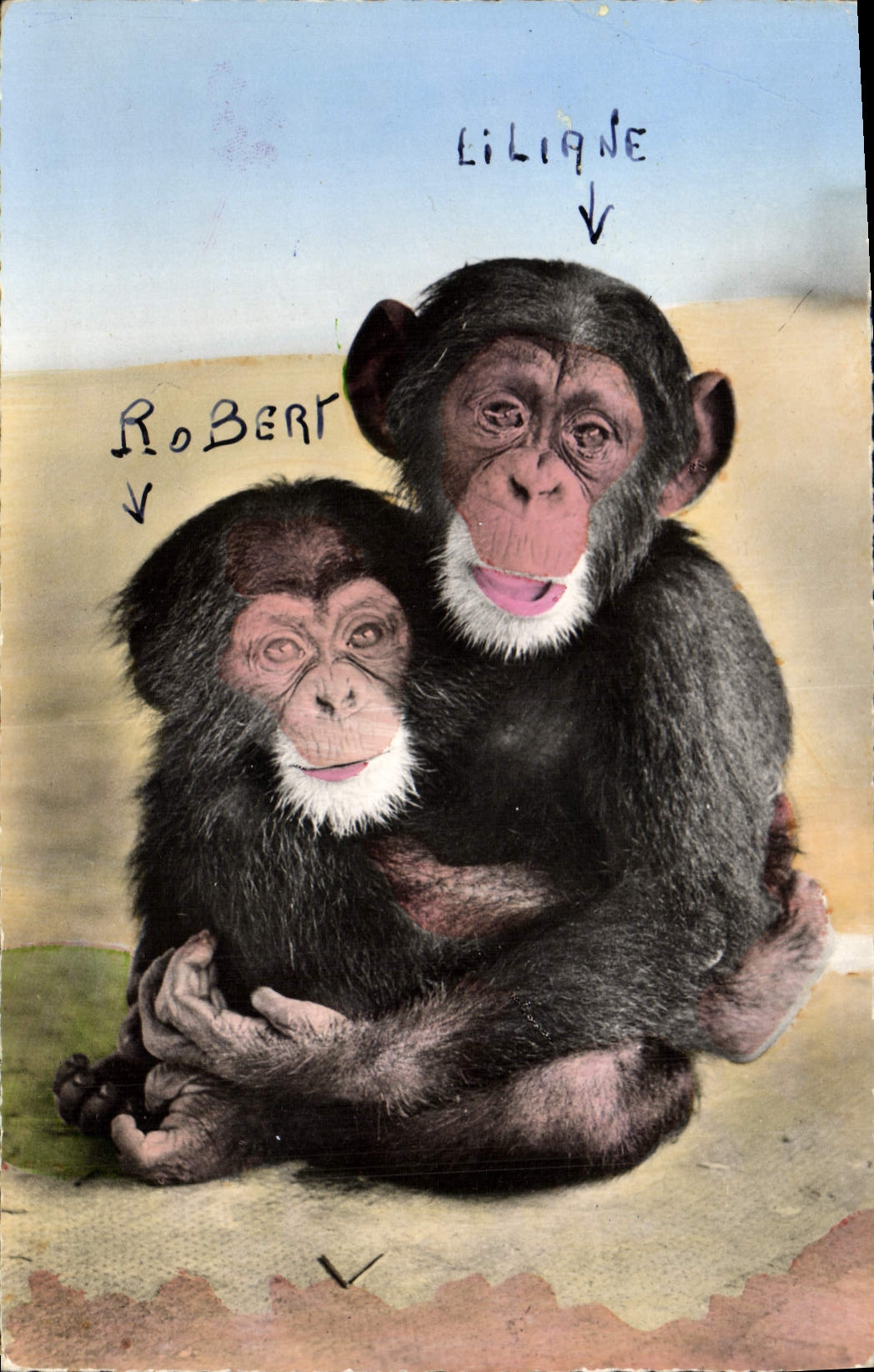 CPM Singe Faune Africaine Maman et bebe singe