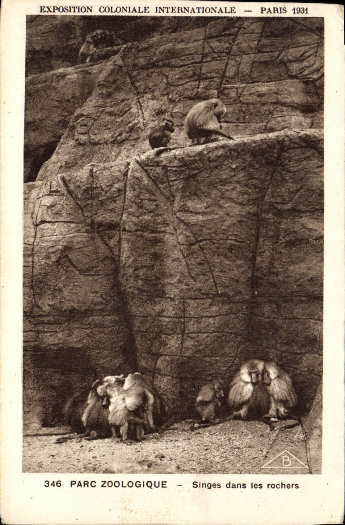CPA Singe Paris Exposition coloniale internationale 1931 Parc zoologique Singes dans les rochers