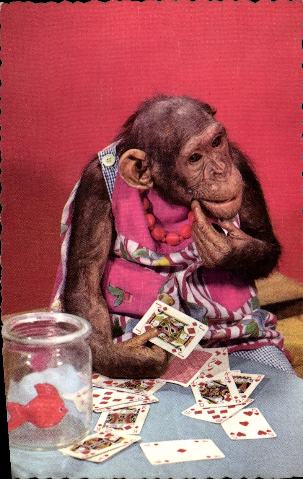 CPM Singe jouant aux cartes