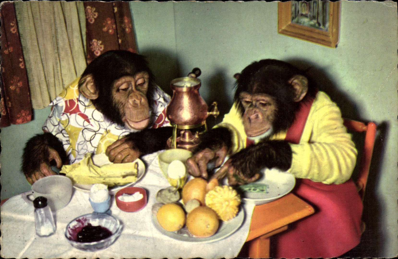 CPM Singe 