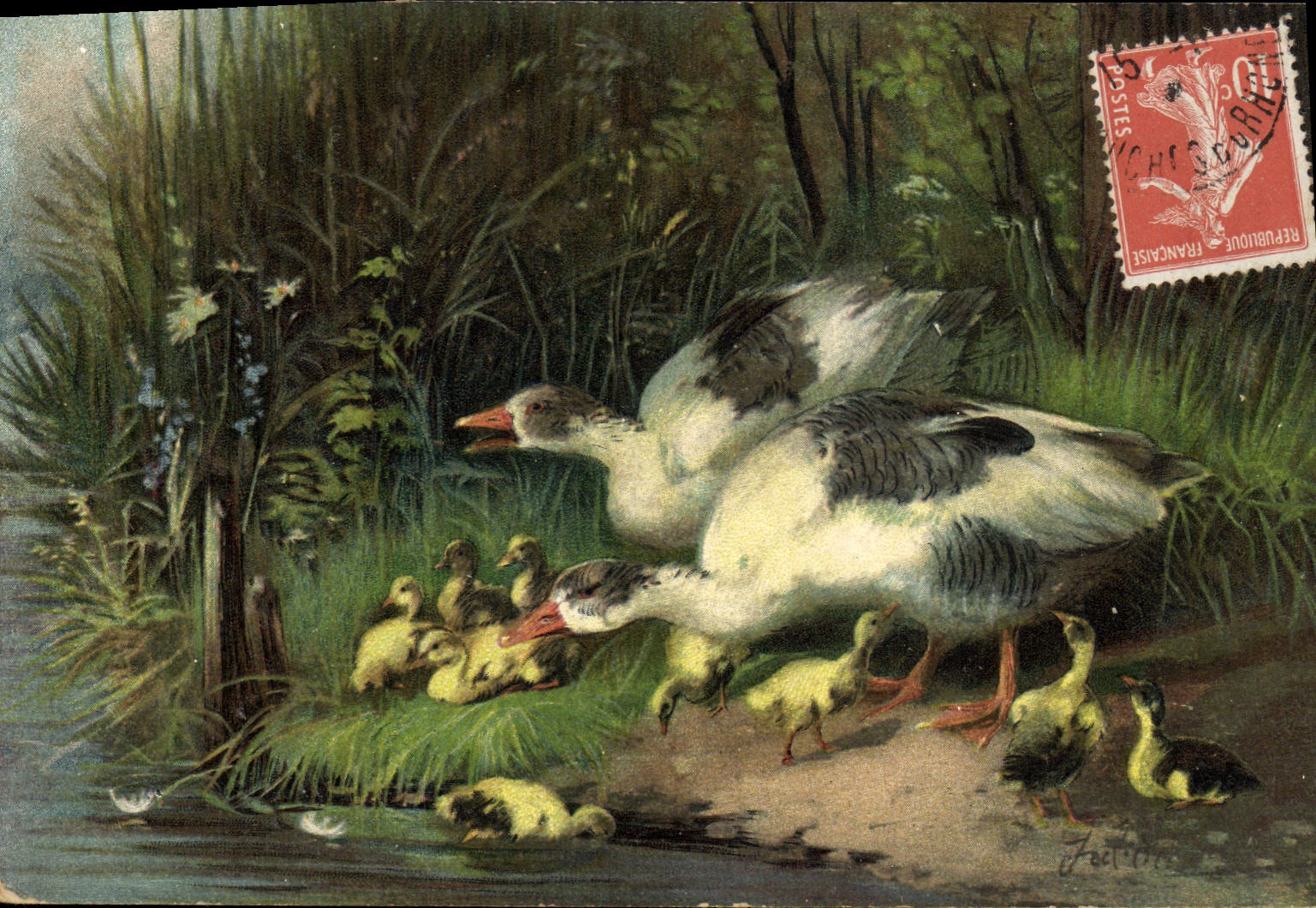 Vintage Postcard Ducks