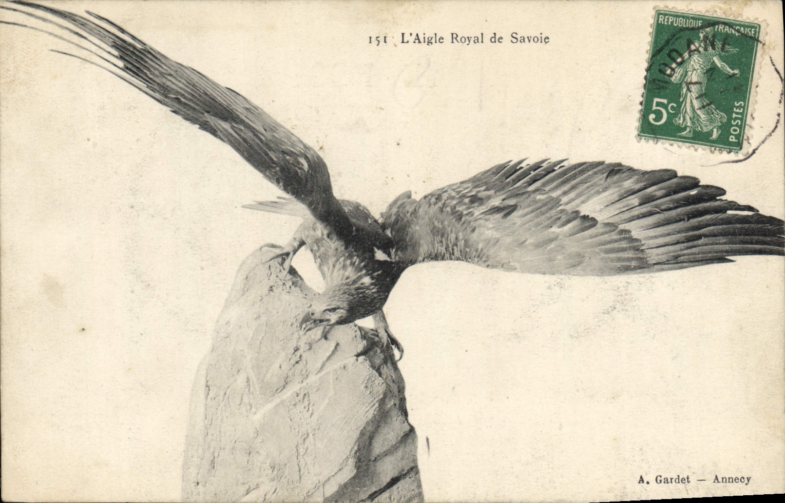 CPA L'aigle Royal de Savoie Rapace 
