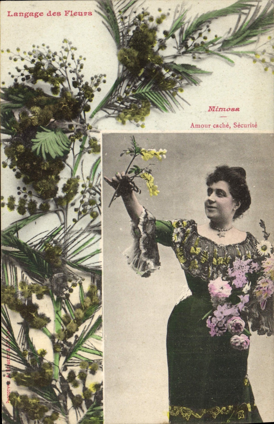 Vintage Postcard Fantaisie Woman Language of the flowers Mimosa Love hiding place Securite