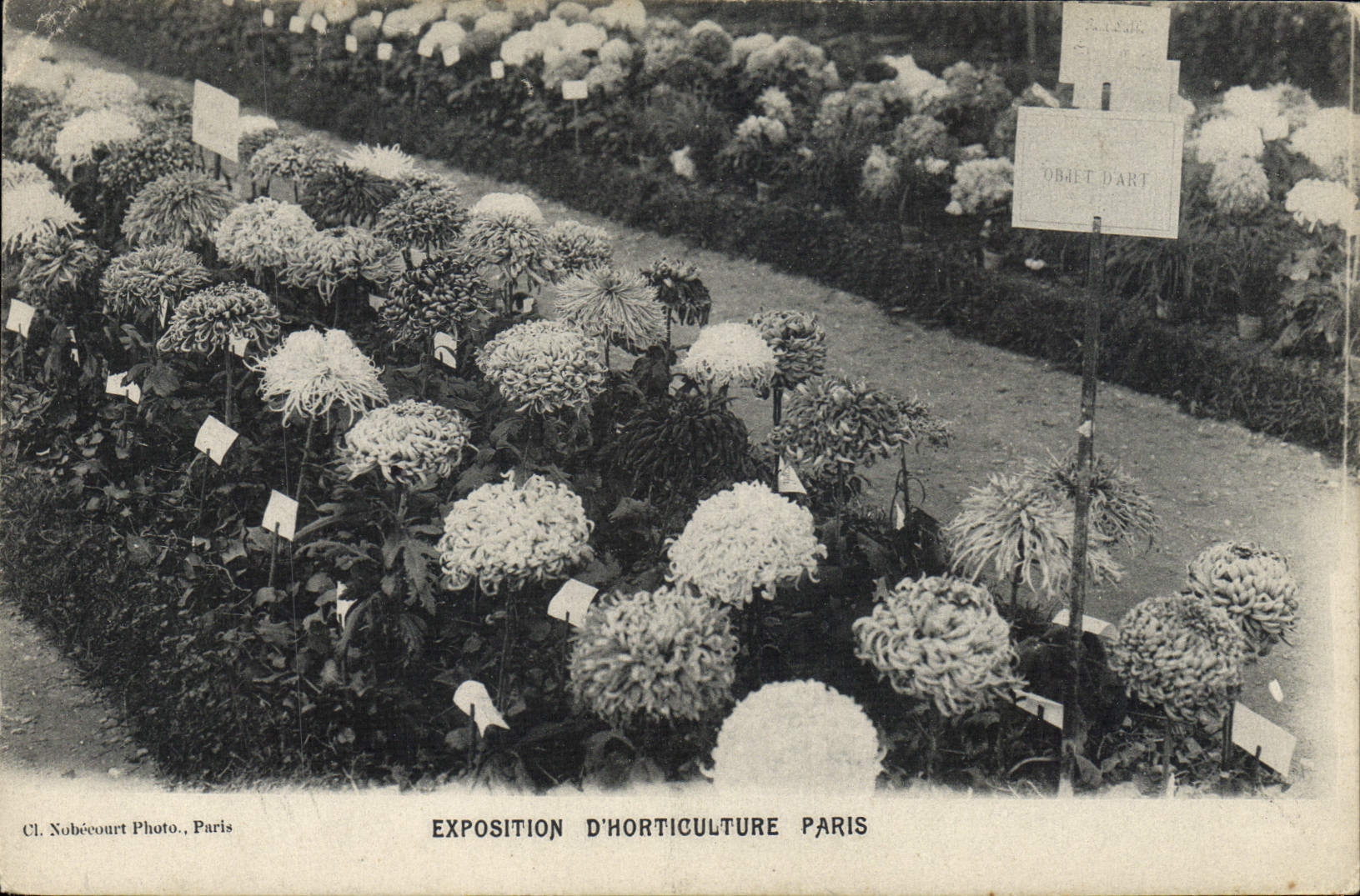 Vintage Postcard Fantaisie Flowers Exposure of horticulture has Paris