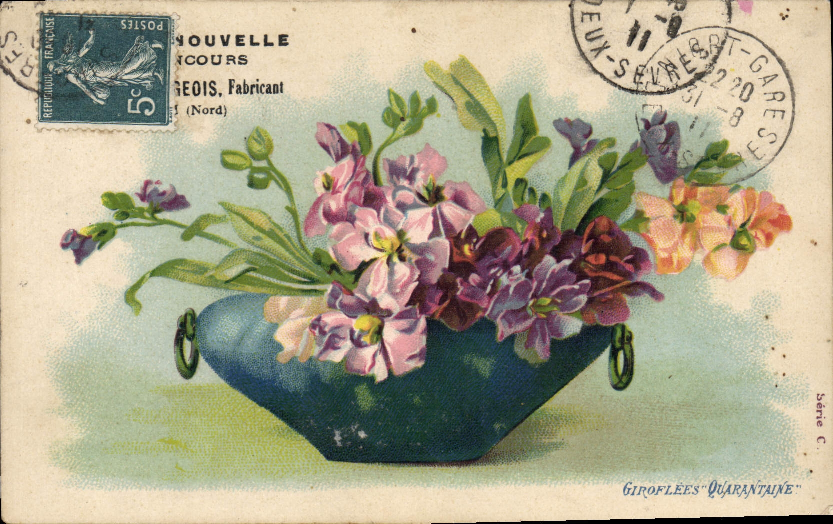 Vintage Postcard Fantasy Flowers Gillyflowers Forty